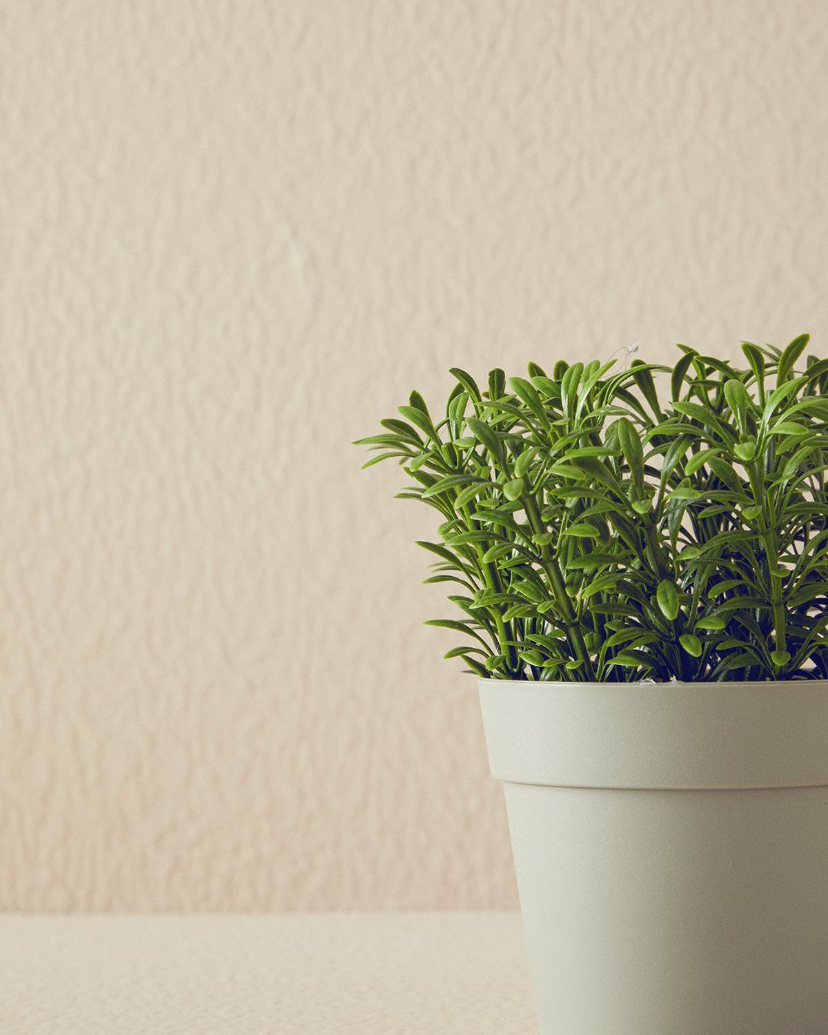 Pure Leaves Artificial Flower with Vase Gray