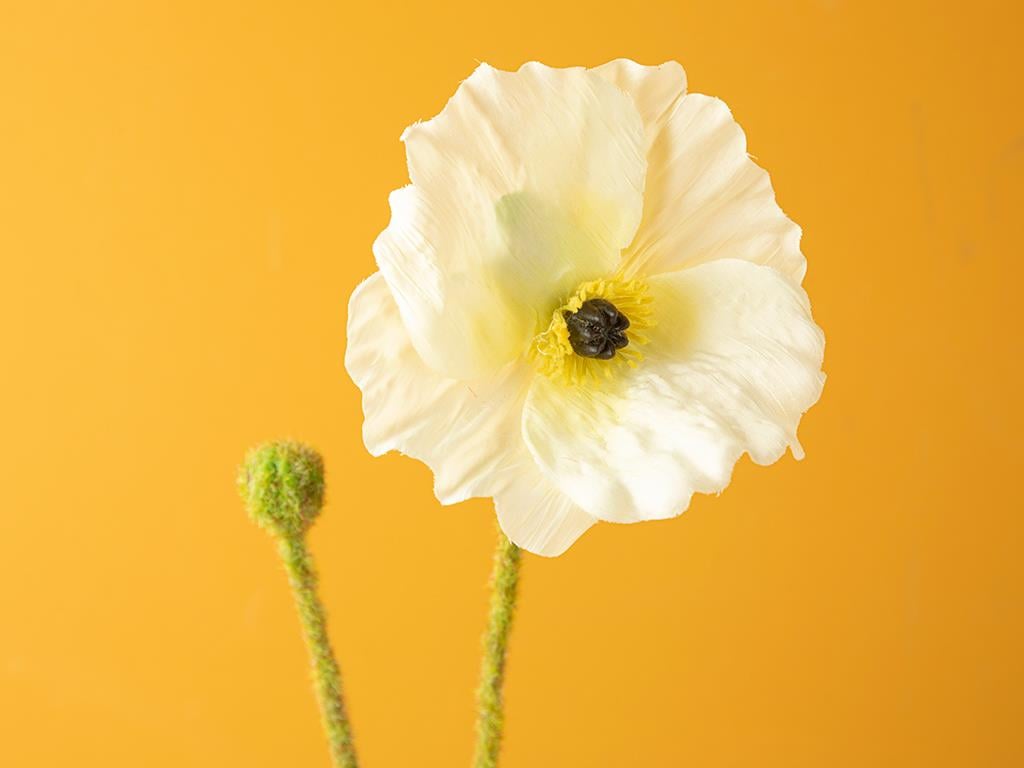 Poppy Artificial Flower - One Pc 60 cm White