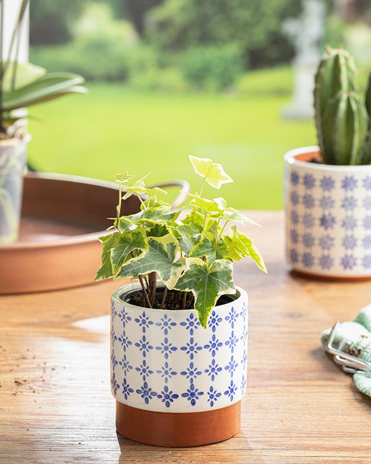 Martin Flowerpot 9.8x9.8x10 cm Blue