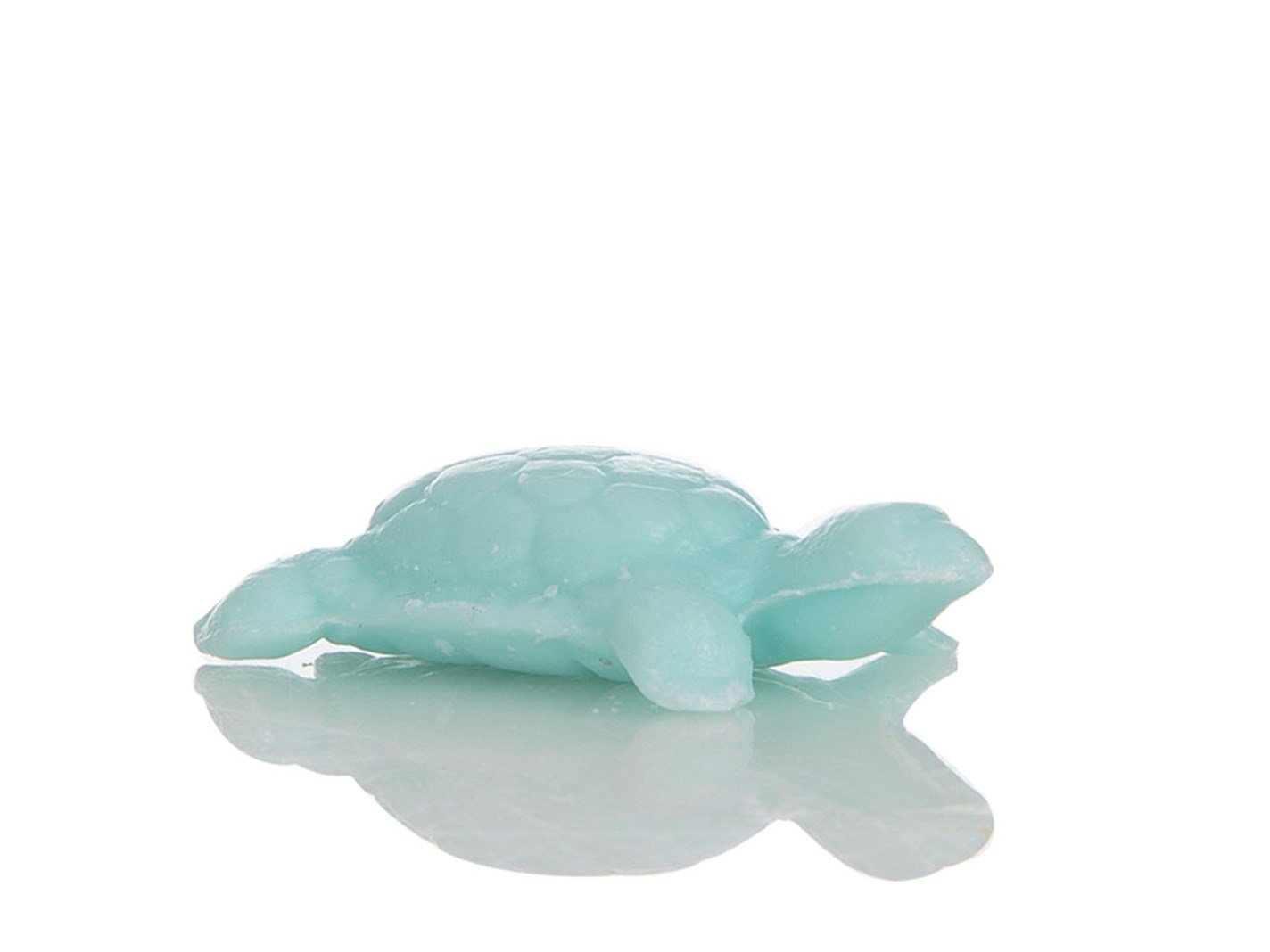 Ocean Cosmetic Turtle în formă 30 gr Mentă