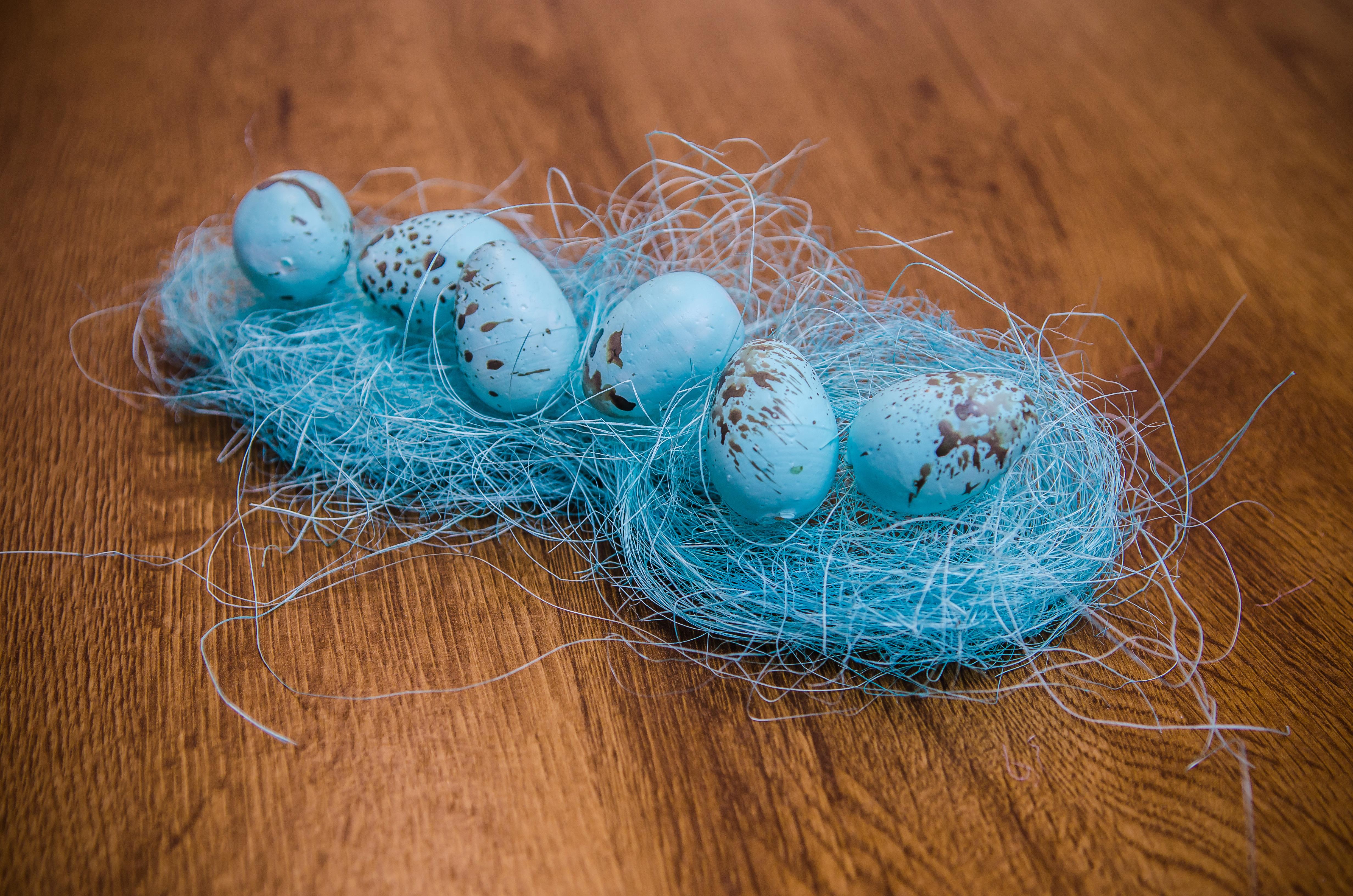 Robin Decorative Object Blue