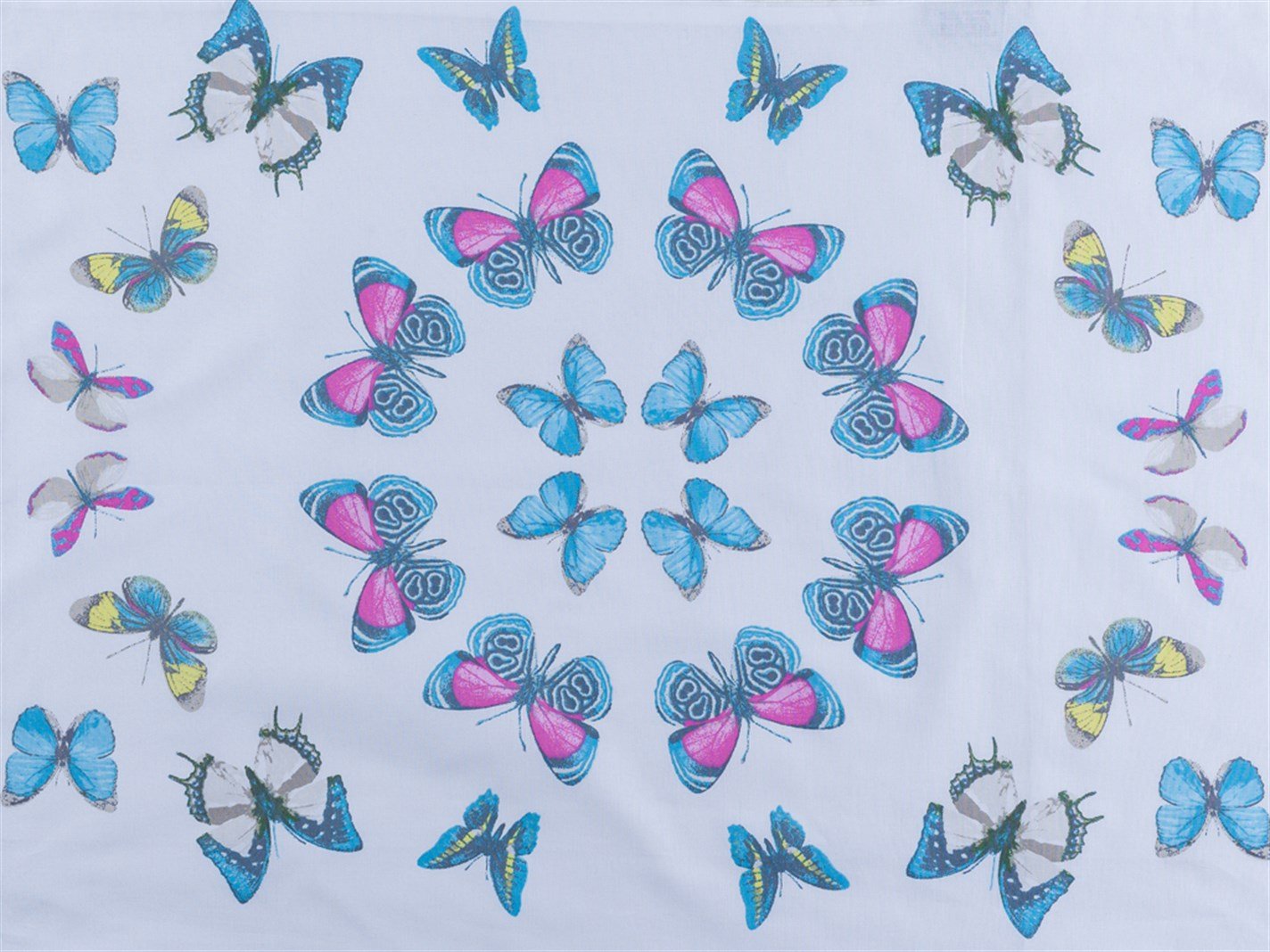 pupă # 2 set 50x70 cm Turcoaz