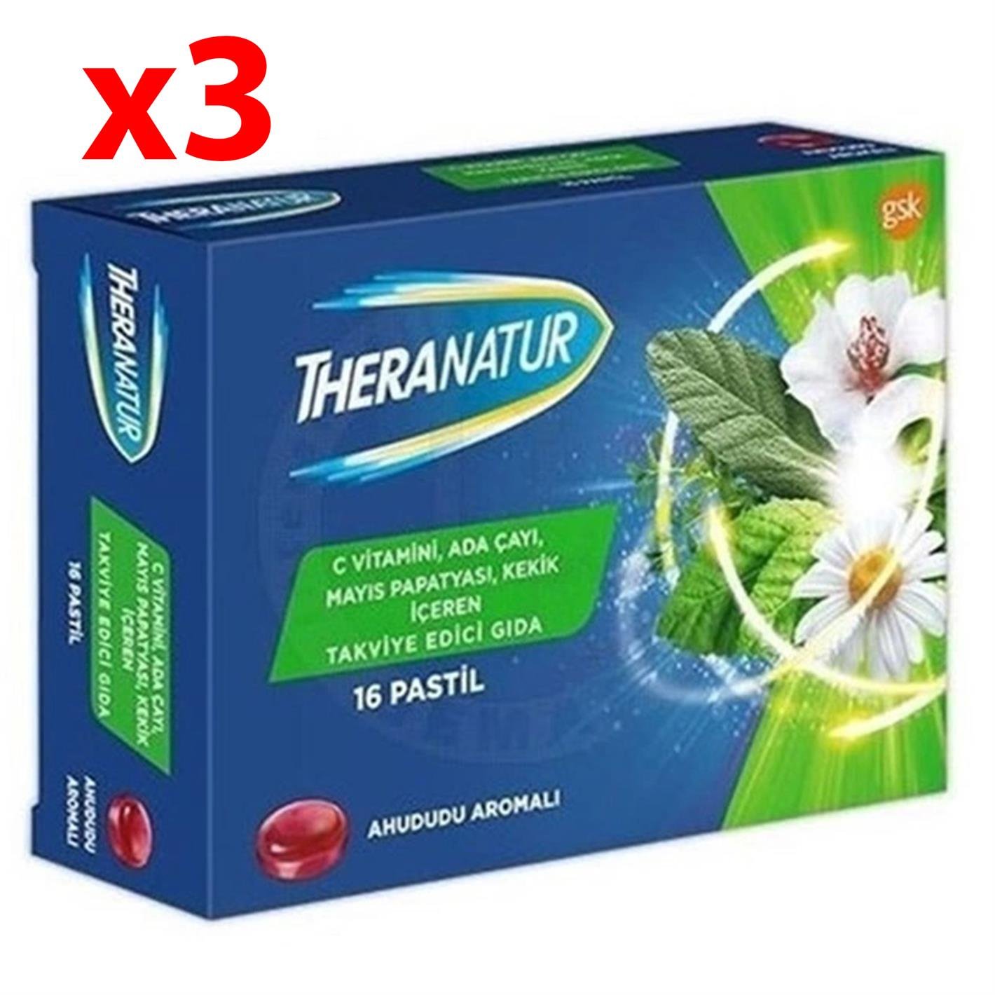 Theranatur Ahududu Aromalı Pastil 16 Adet 3 Adet