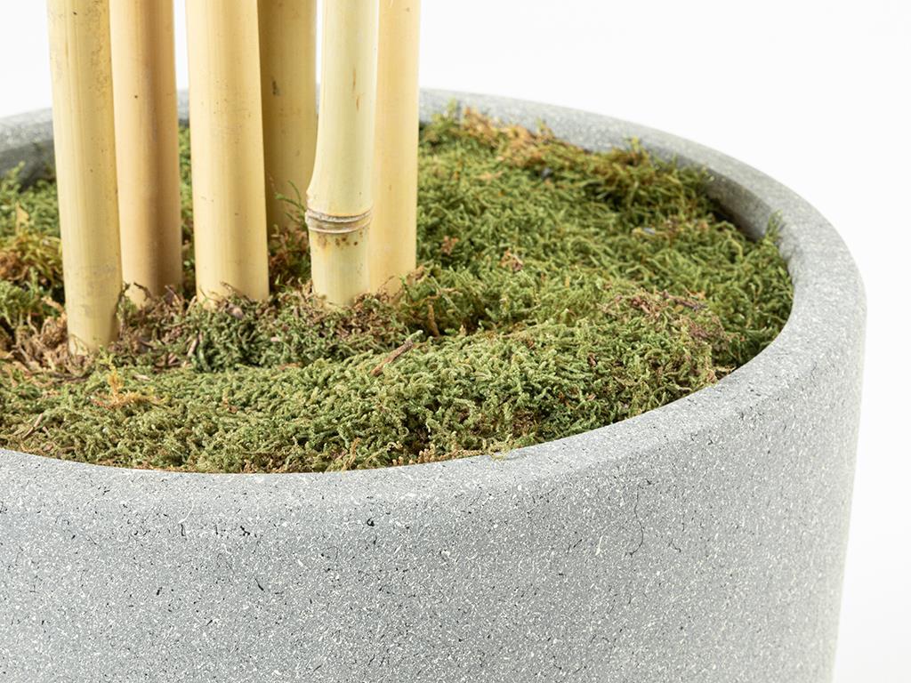 Bambu Изкуствено Дърво 180 см Зелен