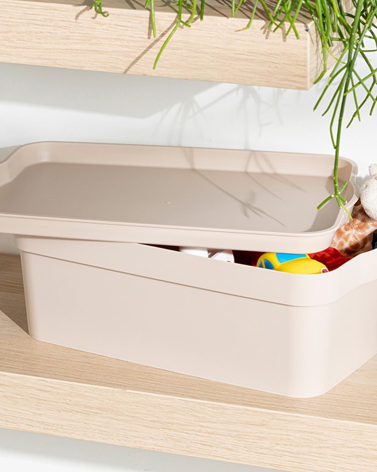 Basıc Кутия За Съхранение 32x11x16 см Бежов