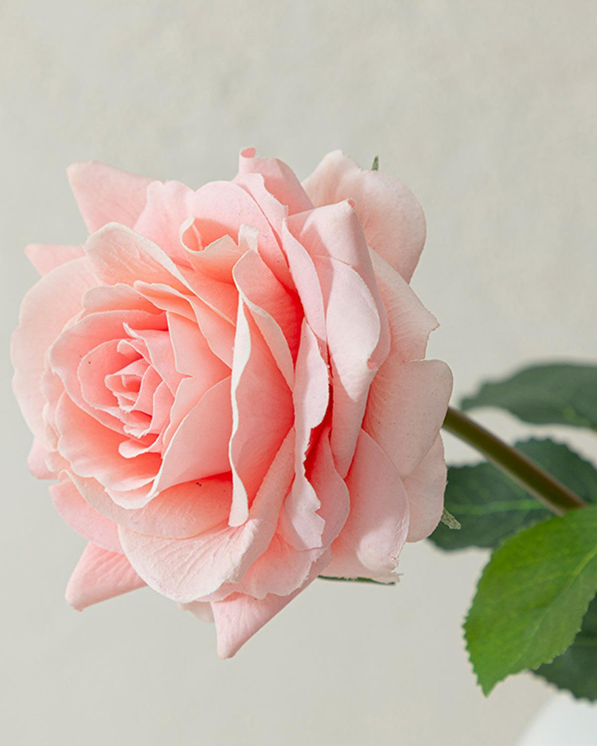 Canker Bloom Fabric Artificial Flower - One Pc 45 cm Light Pink