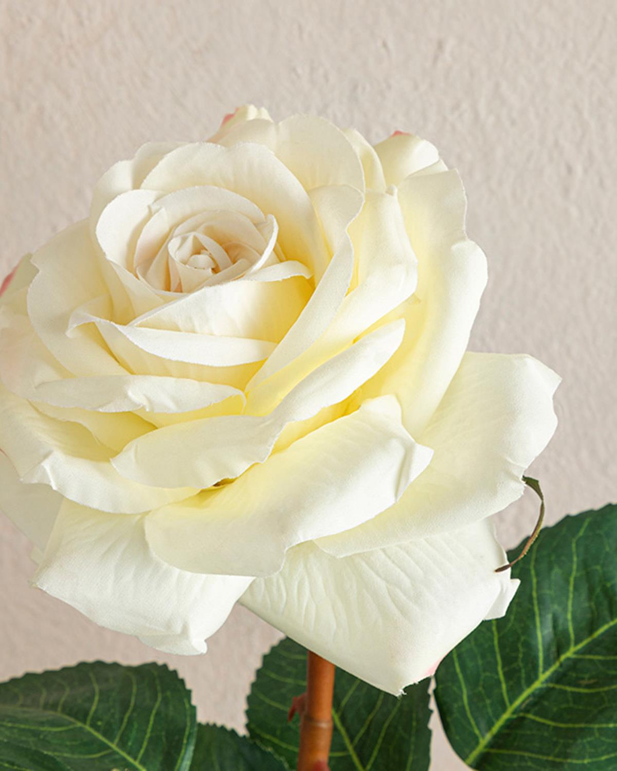 Classy Rose Една Клонка Изкуствено Цвете Пластмасов, Бяло, 64 Cm