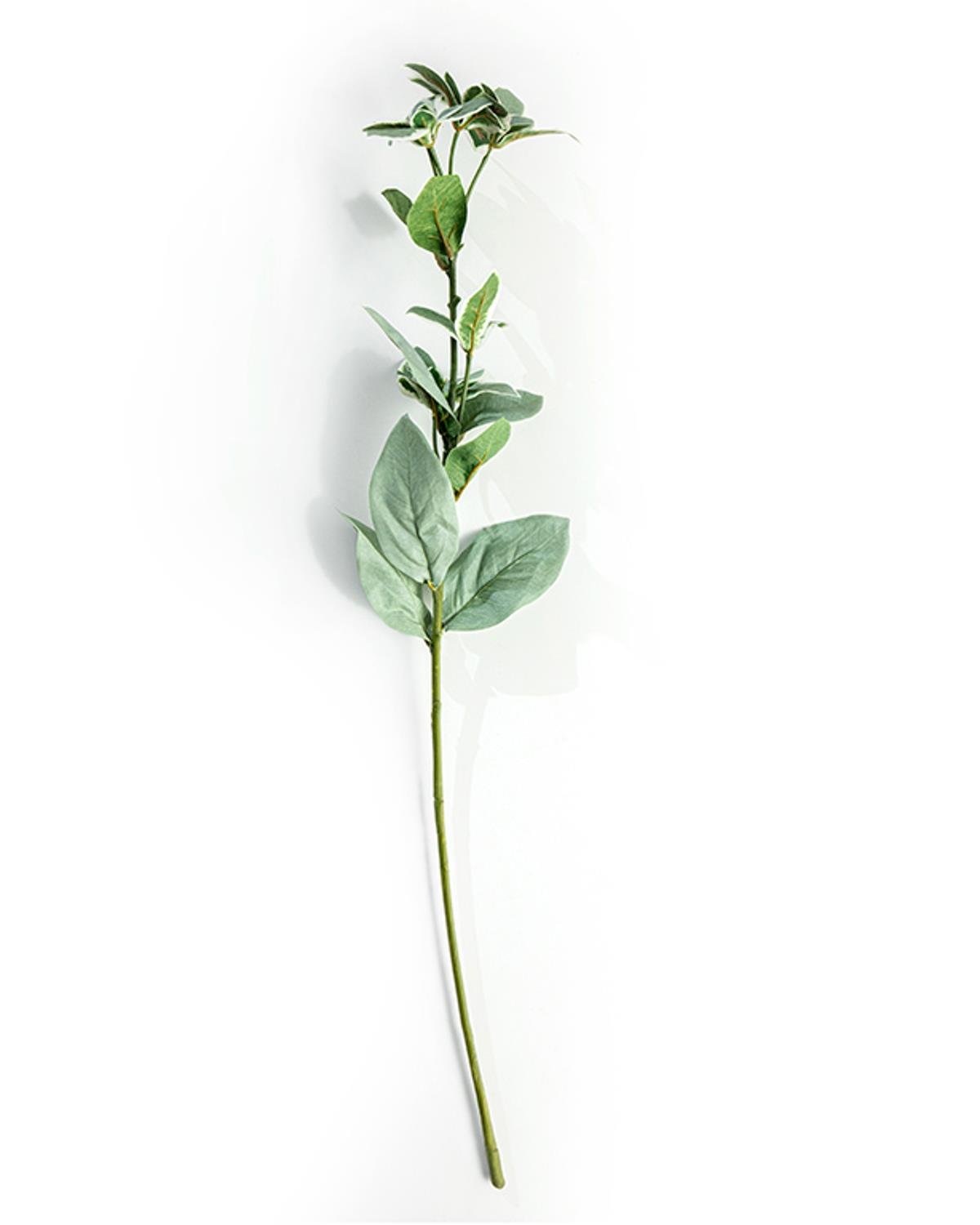 Leaf Изкуствено Цвете Един Стрък 68 cm Зелен