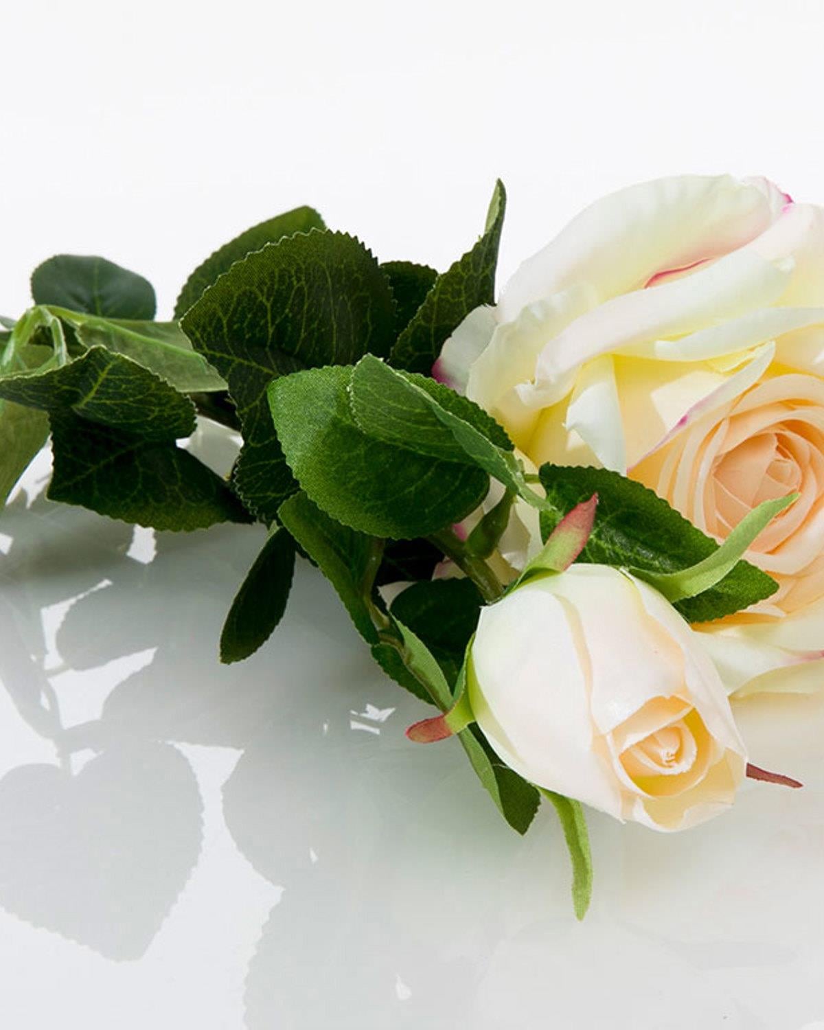 Precious Rose Artificial Flower 64 cm Cream