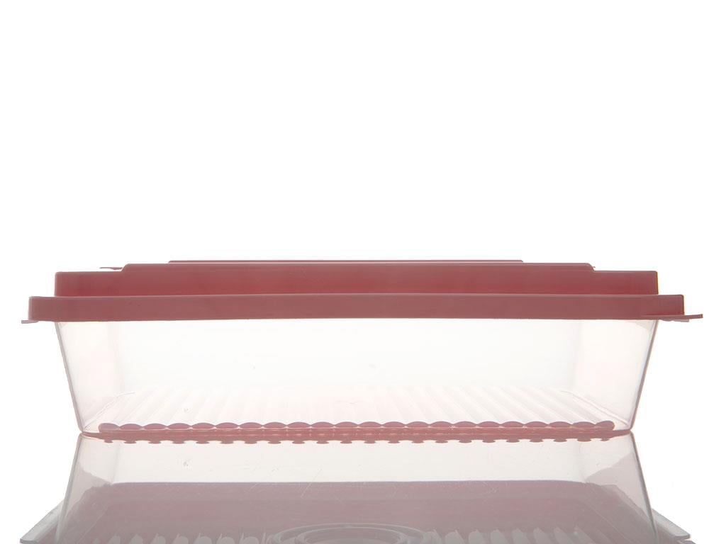 Rocket КУТИЯ ЗА СЪХРАНЕНИЕ Правоъгълен малък Пластмасов 2L Pink