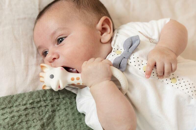 Sophie la Girafe, So Pure ,Sophie Halka Diş Kaşıyıcı Kategorisiz Sophie La Girafe