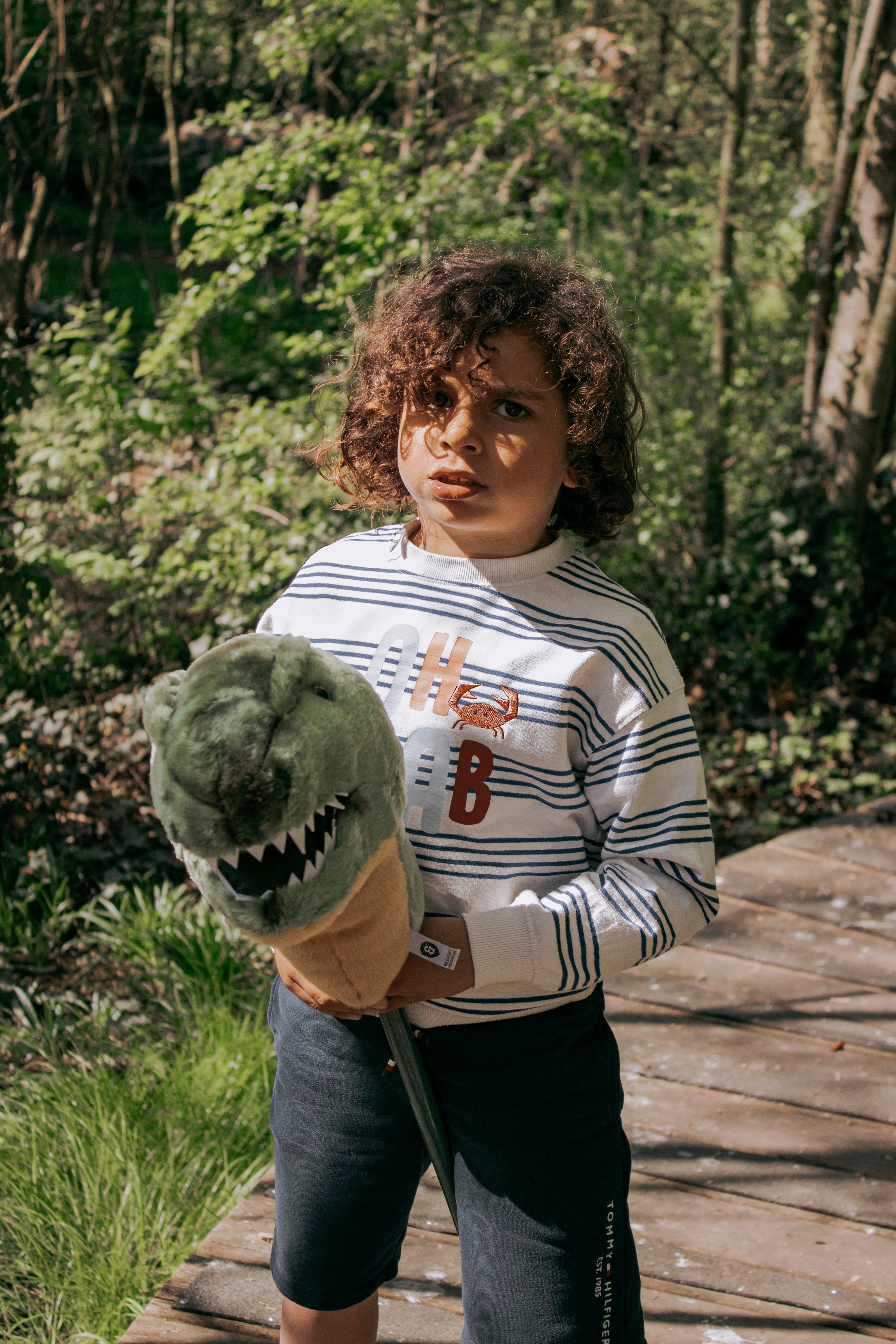 Sopa Oyuncak, T-Rex Peluş Oyuncaklar Wild & Soft