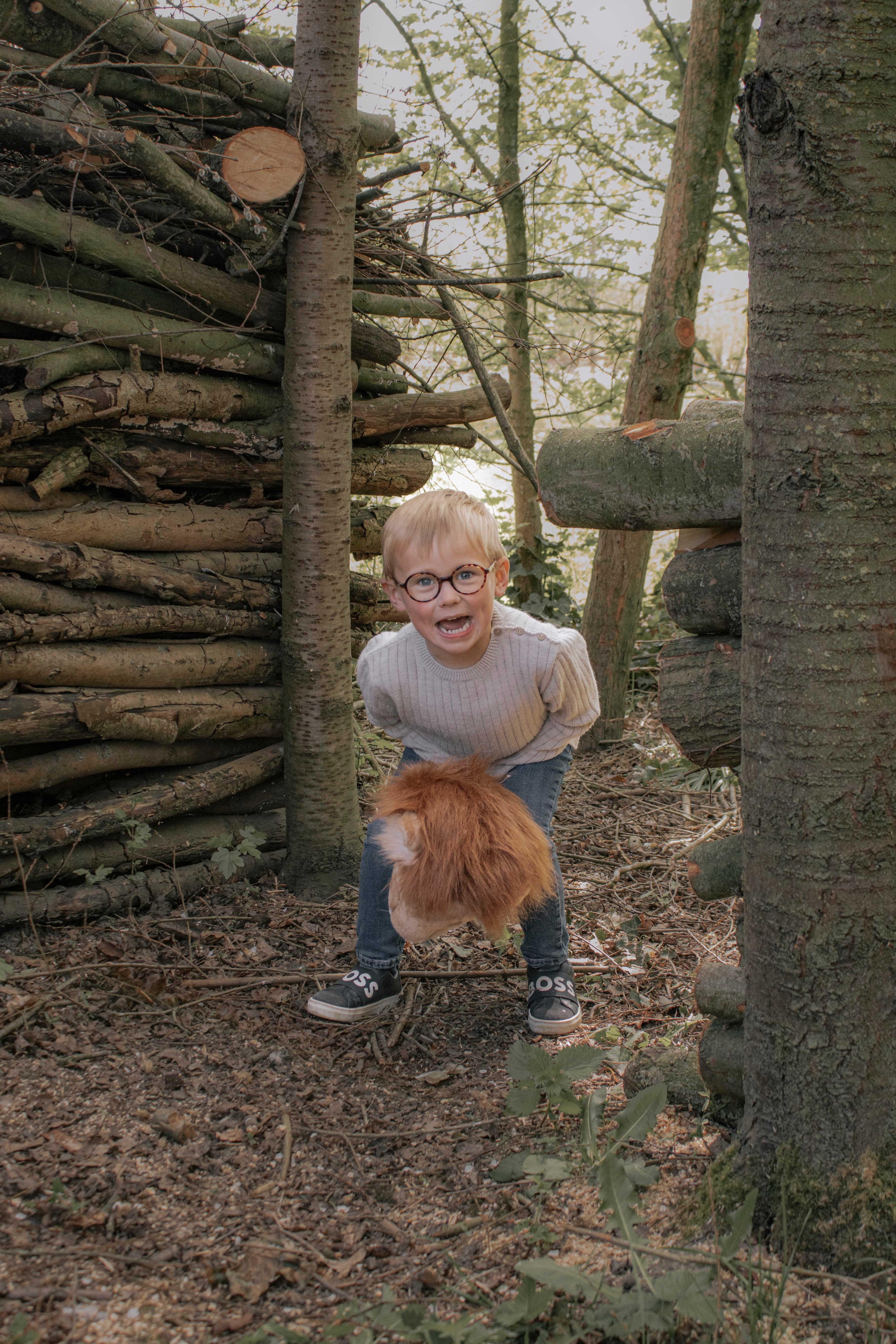 Sopa Oyuncak, Aslan Kategorisiz Wild & Soft