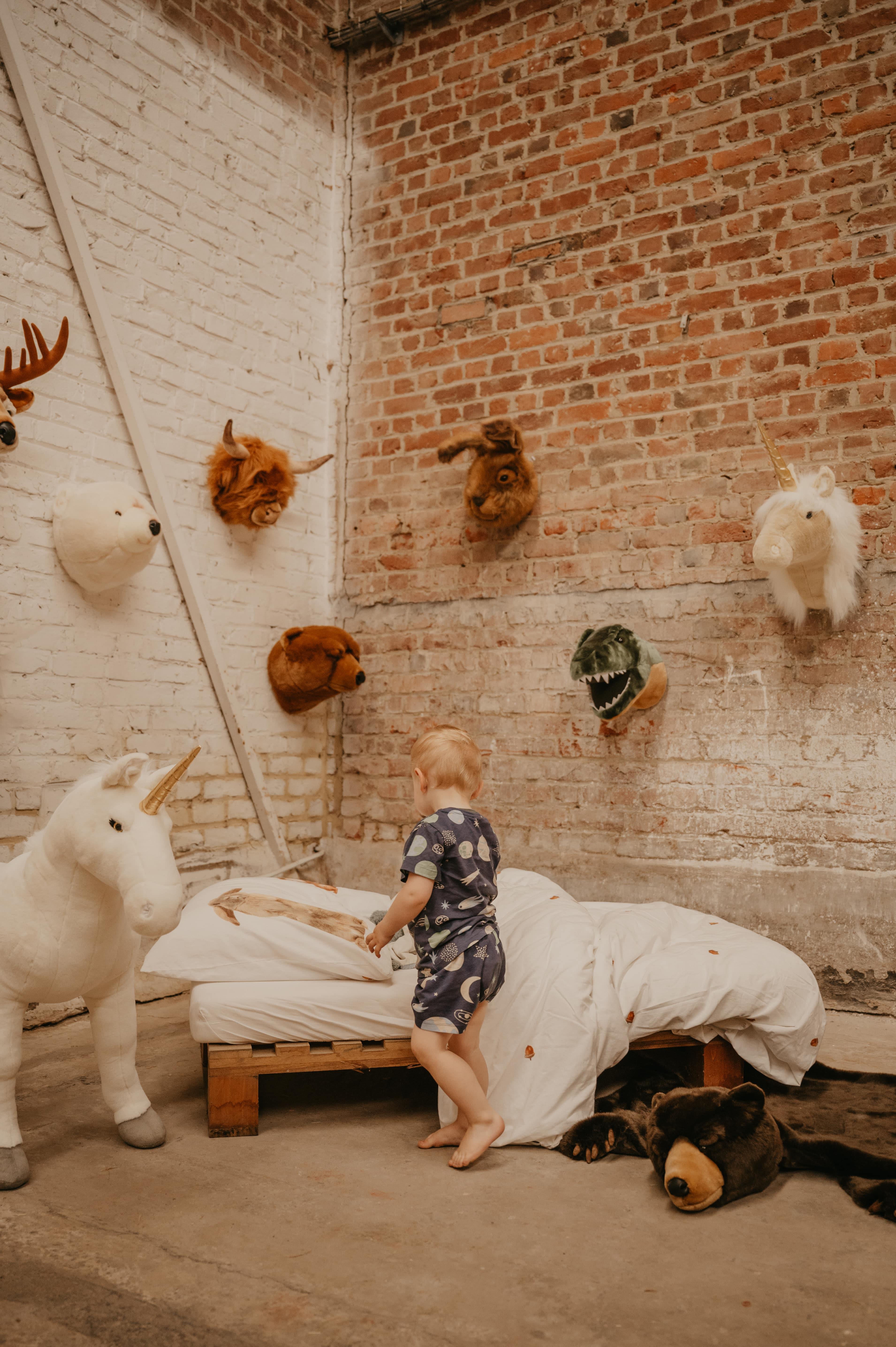 Duvar Aksesuarı, Bej Unicorn Kategorisiz Wild& Soft