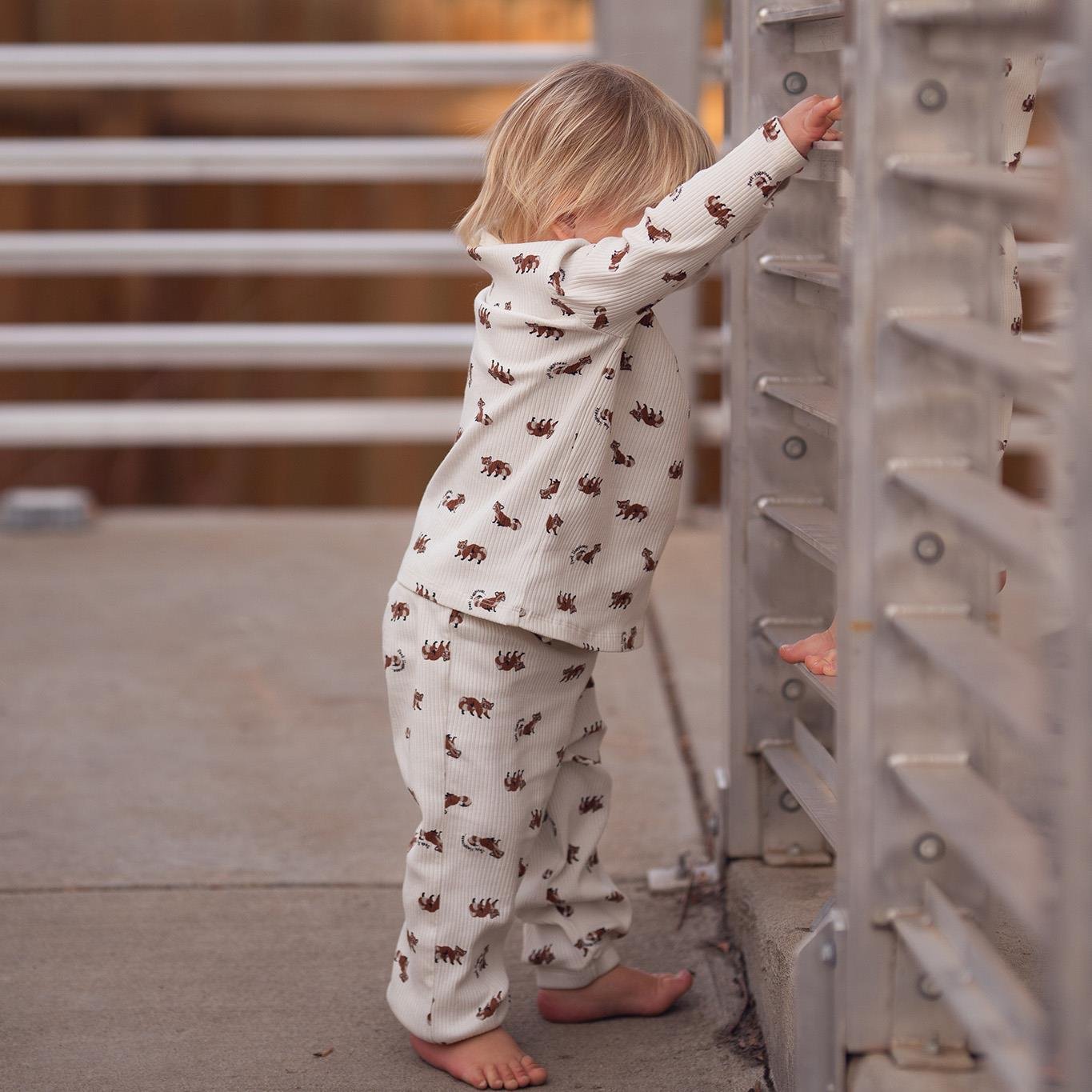 Rakun Uzun Kollu Tshirt Pantolon Set Kategorisiz Antebies