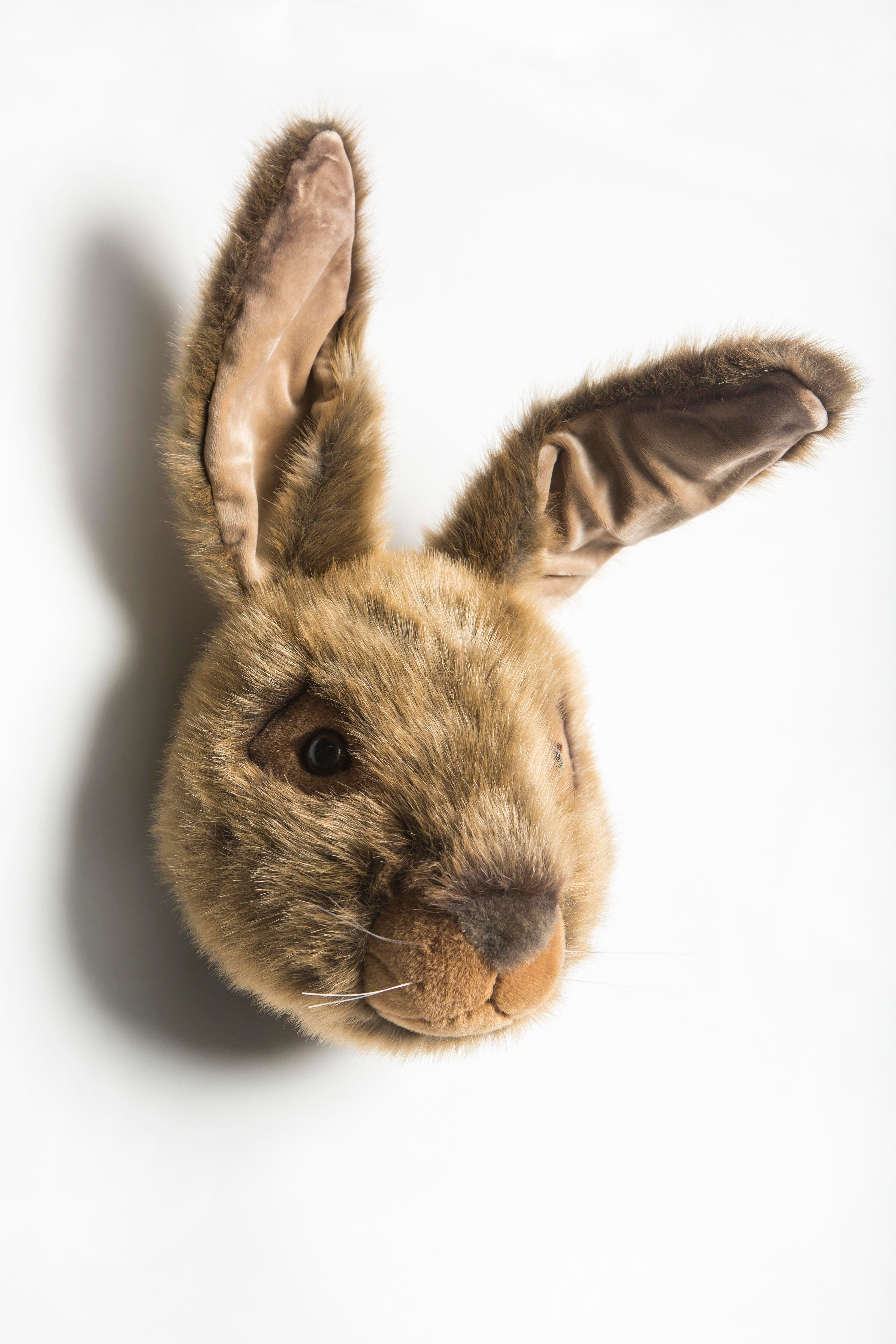 Duvar Aksesuarı, Kahve Tavşan Peluş Duvar Büstleri Wild & Soft