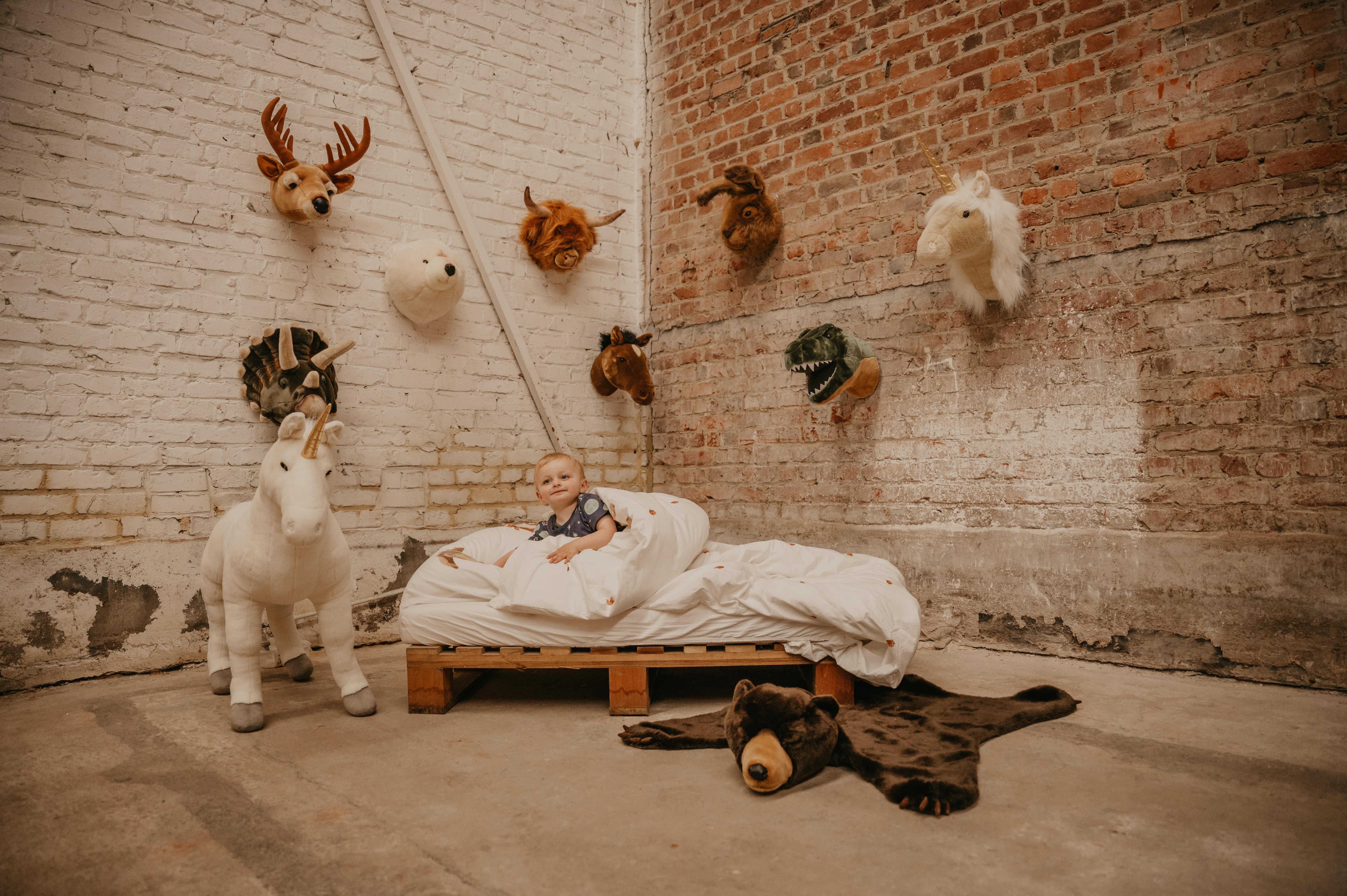 Duvar Aksesuarı, Bej Unicorn Kategorisiz Wild& Soft