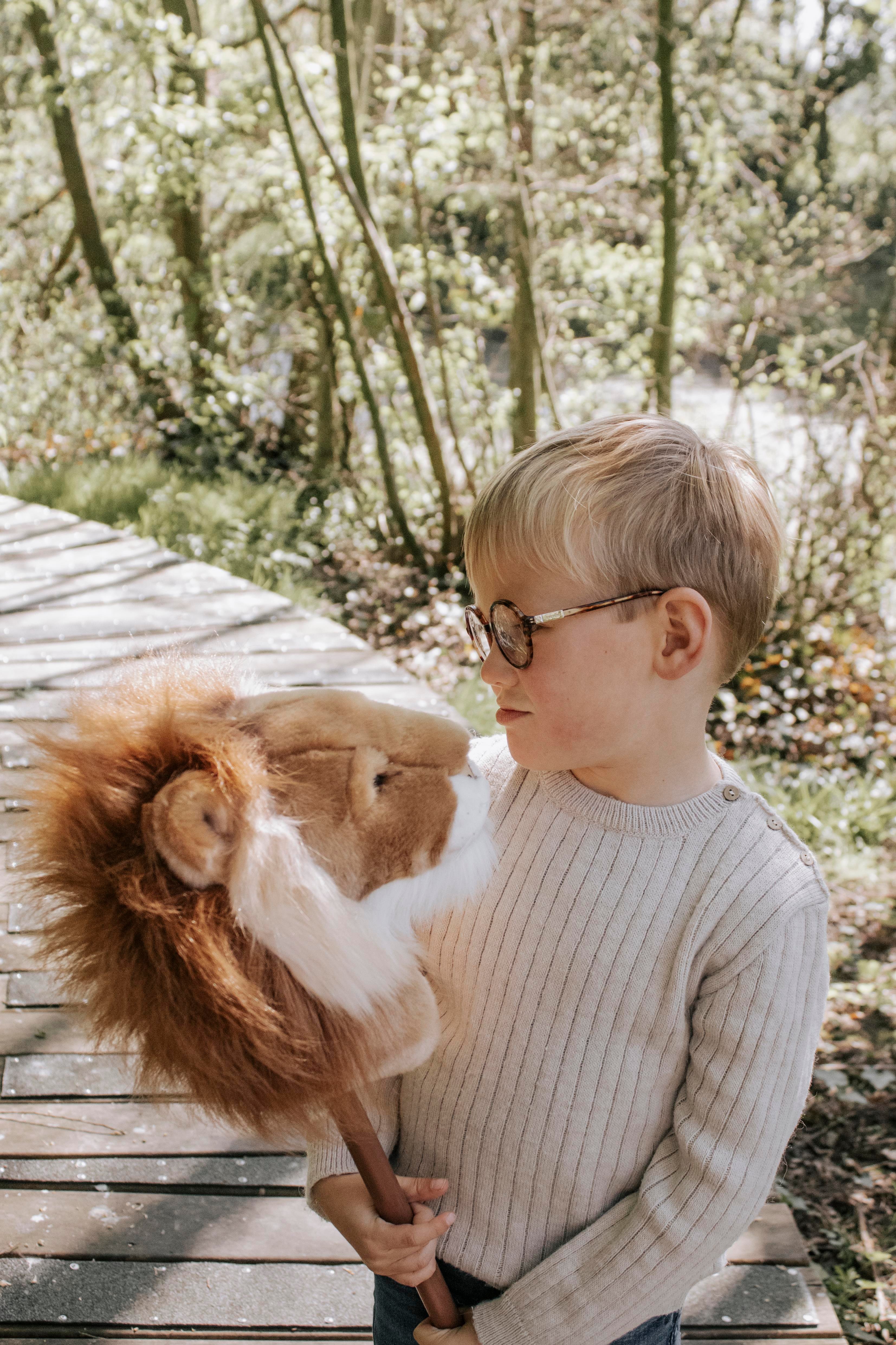 Sopa Oyuncak, Aslan Kategorisiz Wild & Soft