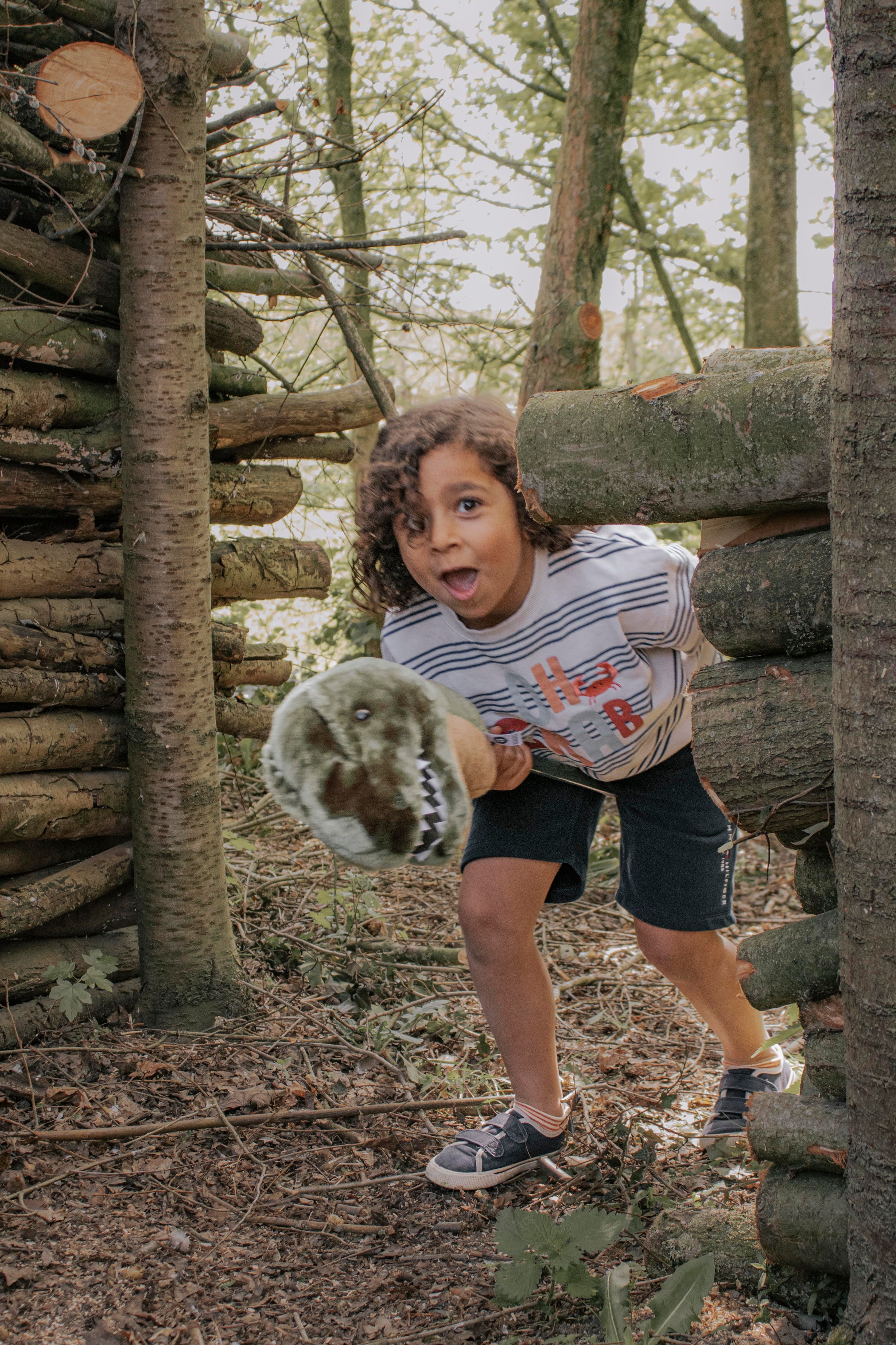 Sopa Oyuncak, T-Rex Peluş Oyuncaklar Wild & Soft