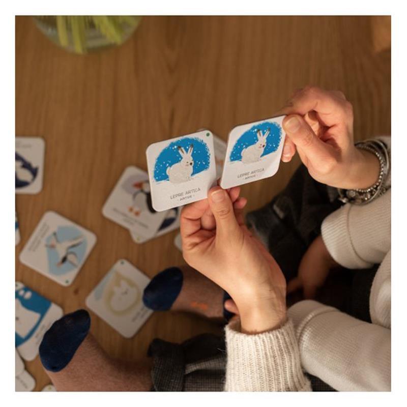 Animals To Save - Polar Ice