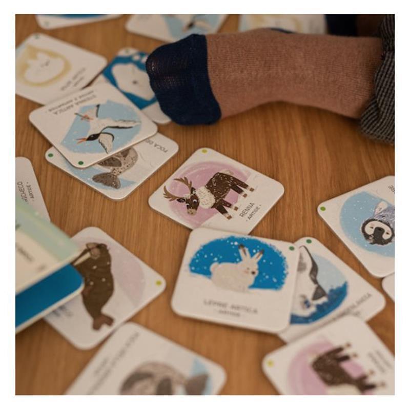 Animals To Save - Polar Ice