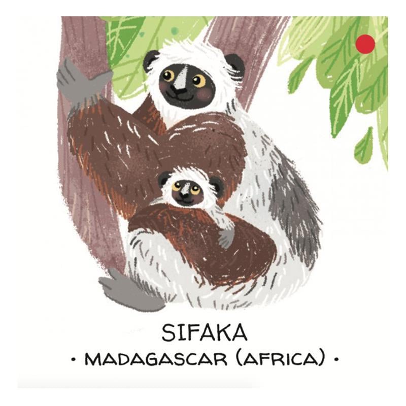 Animals to Save - Tropical Forests