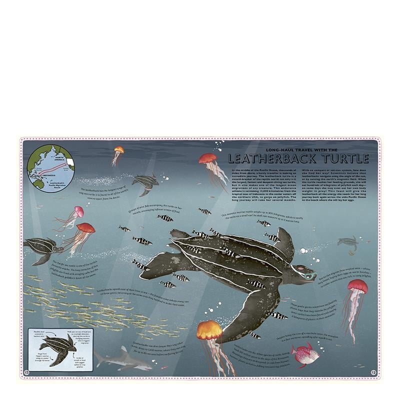 ATLAS OF OCEAN ADVENTURES