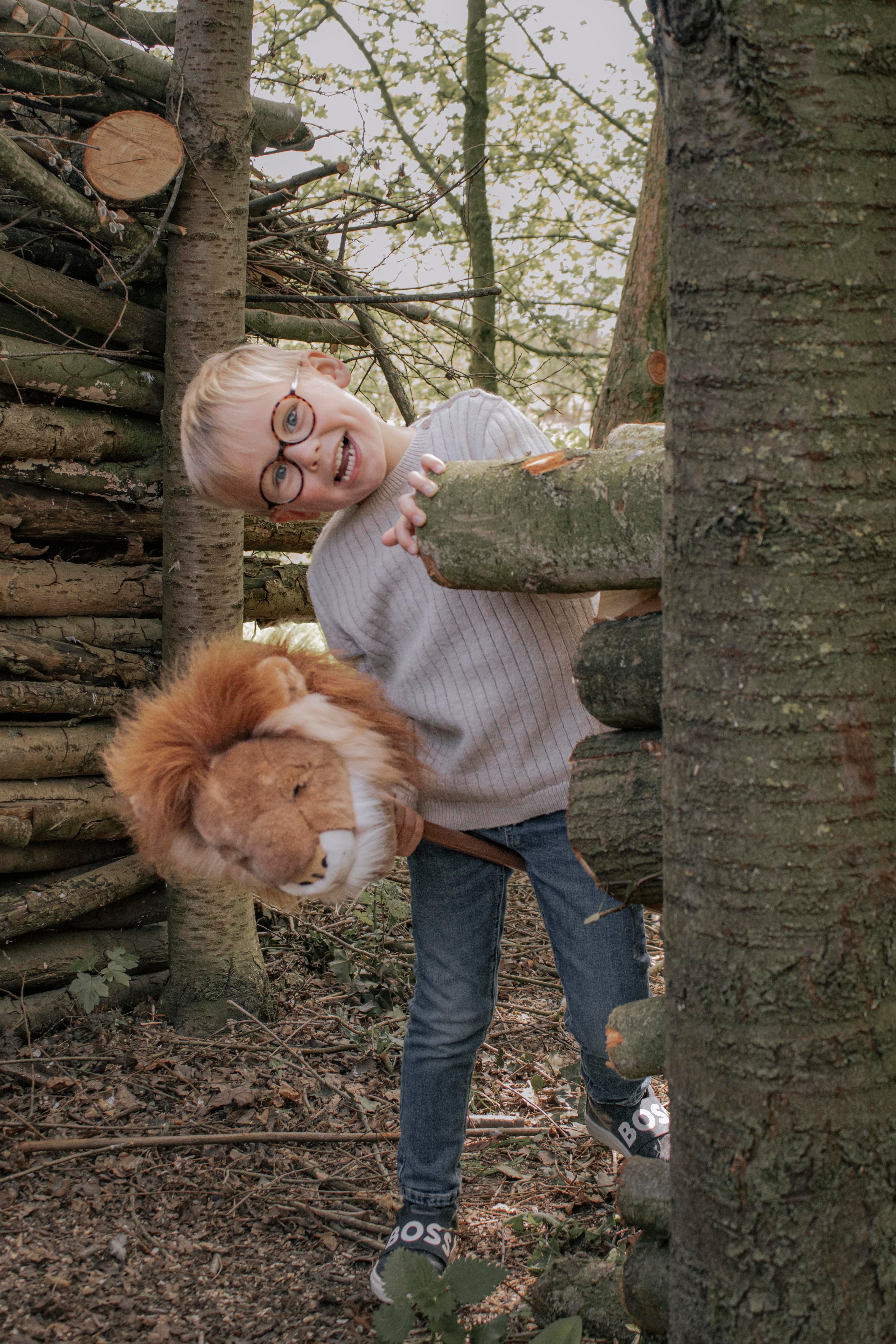 Sopa Oyuncak, Aslan Kategorisiz Wild & Soft