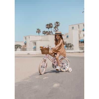 Banwood Classic Vintage Bisiklet, Pembe Bisiklet & Scooterlar Banwood