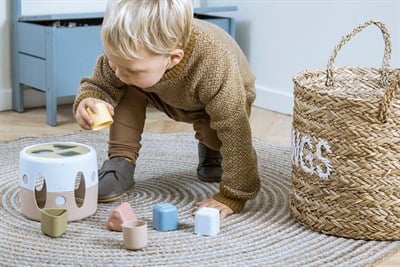 Dantoy Dantoy Tiny Bioplastik Şekil Sıralayıcı Oyuncak