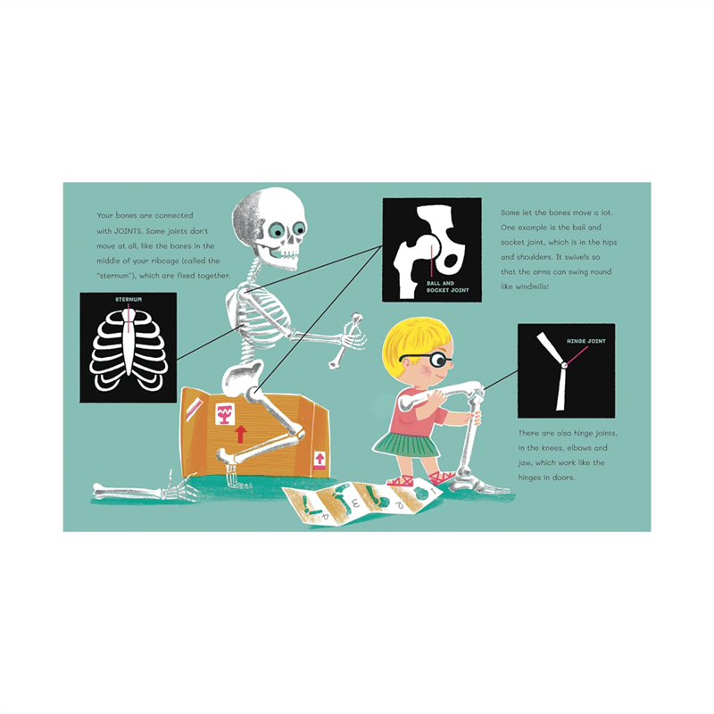 Dr Roopas Body Books - The Super Skeleton