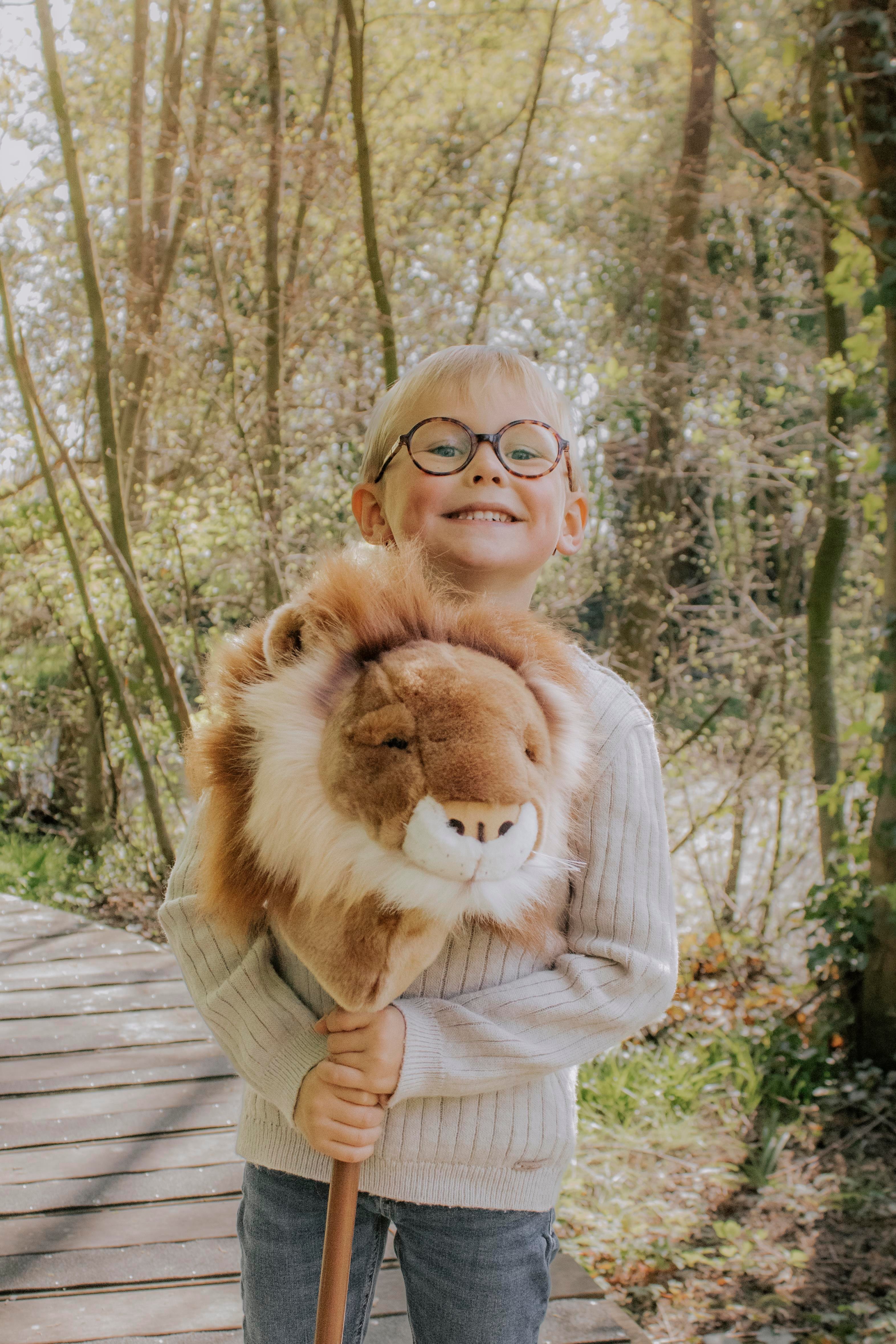 Sopa Oyuncak, Aslan Kategorisiz Wild & Soft