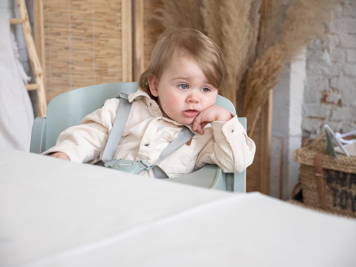 Evosit Mama Sandalyesi, Mint Kategorisiz ChildHome