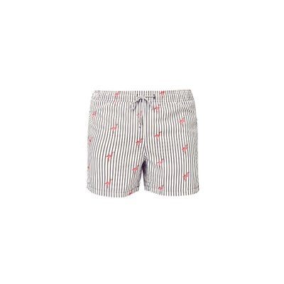 Hawksbill Çocuk Deniz Şortu Flamingo Çocuk Şort Mayoları