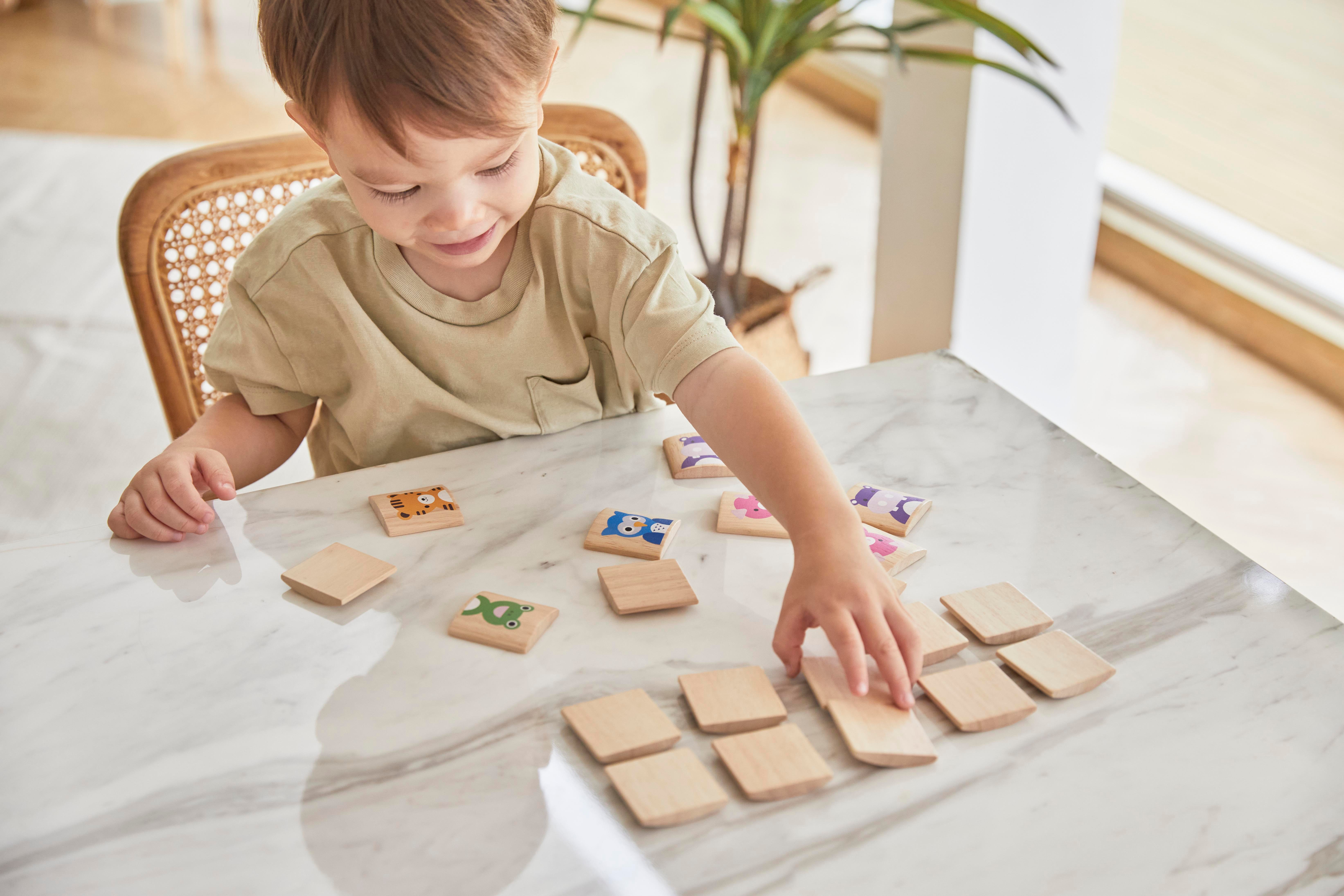 Hayvan Eşleştirme Oyunu Ahşap Oyuncaklar plantoys