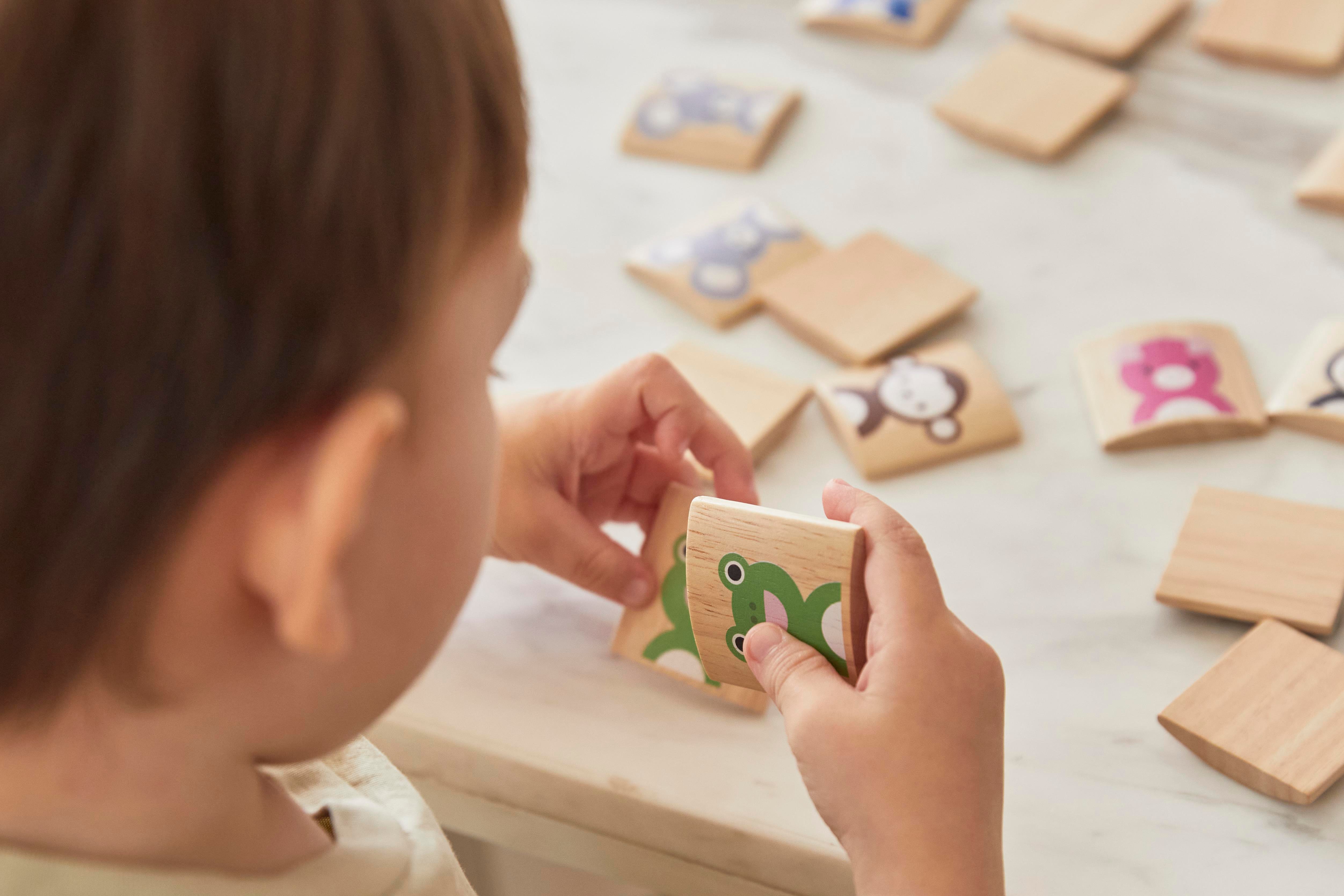 Hayvan Eşleştirme Oyunu Ahşap Oyuncaklar plantoys