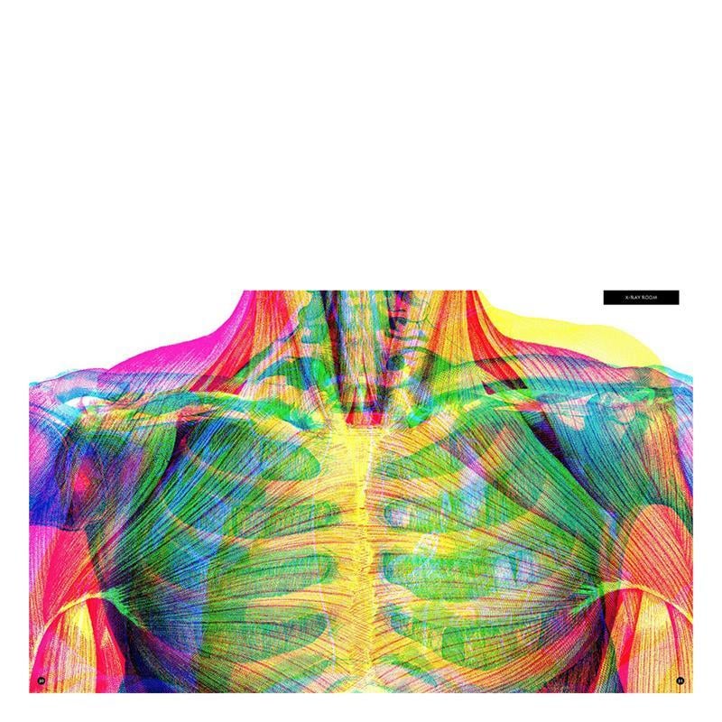 ILLUMANATOMY