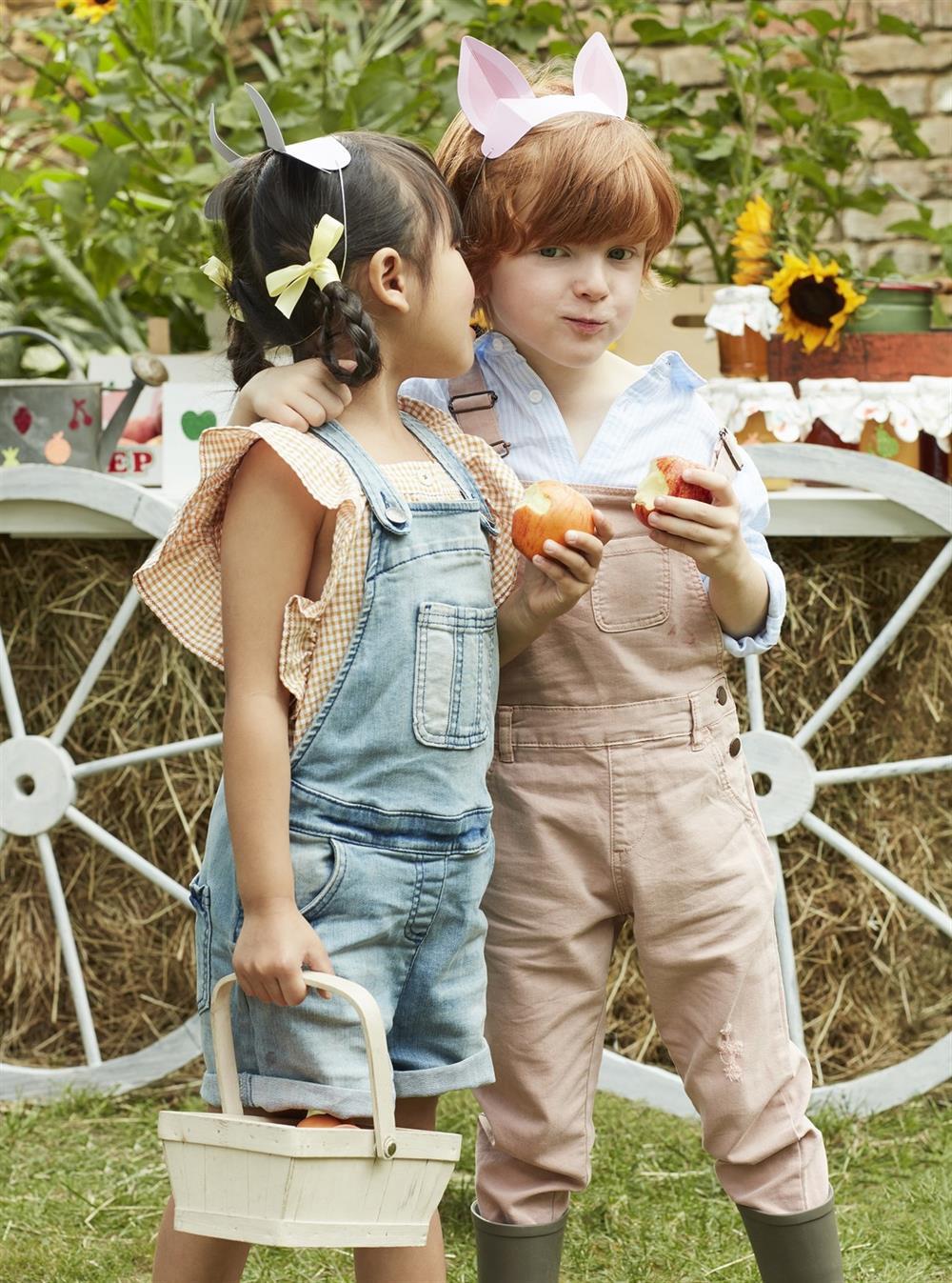 Meri Meri - On The Farm Animal Ears - Çiftlik Hayvanları Kulakları