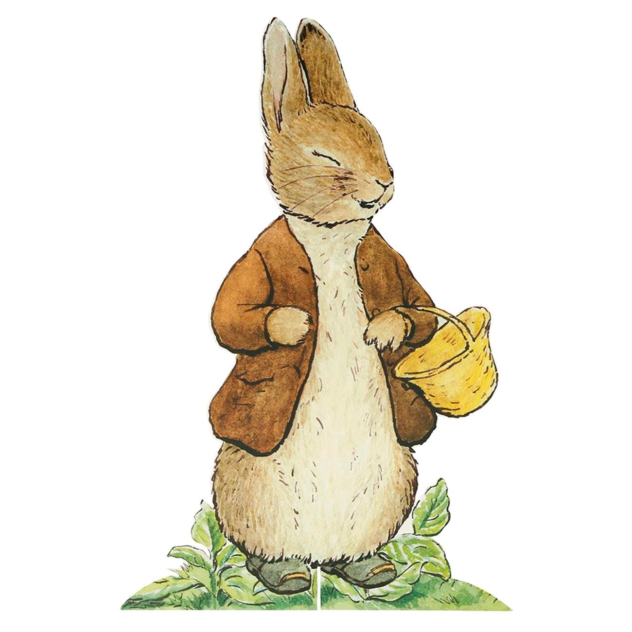 Meri Meri - Peter Rabbit Egg Hunt Kit - Peter Rabbit Yumurta Avı Kiti