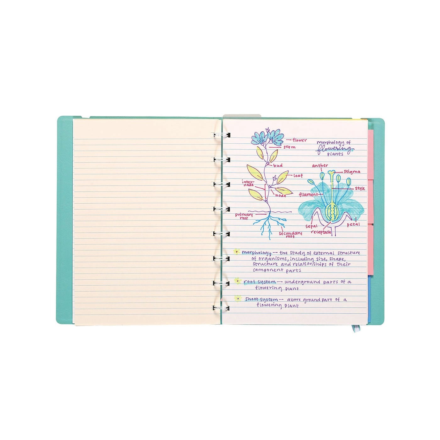 Ooly Writer's Duo Çift Uçlu 3’lü Set - Dolma Kalem ve Highlighter