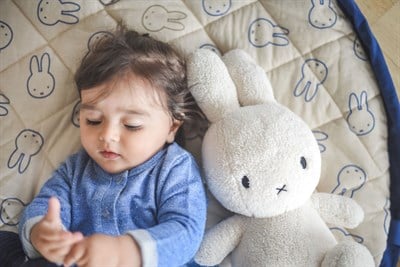 Play & Go - Soft, Miffy Oyuncak Çantası Play And Go