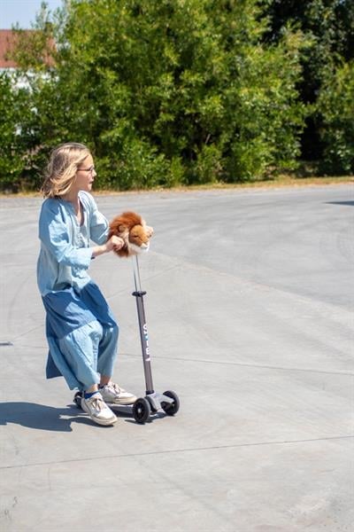 Scooter Aksesuarı, Aslan Bisiklet & Scooterlar Wild & Soft