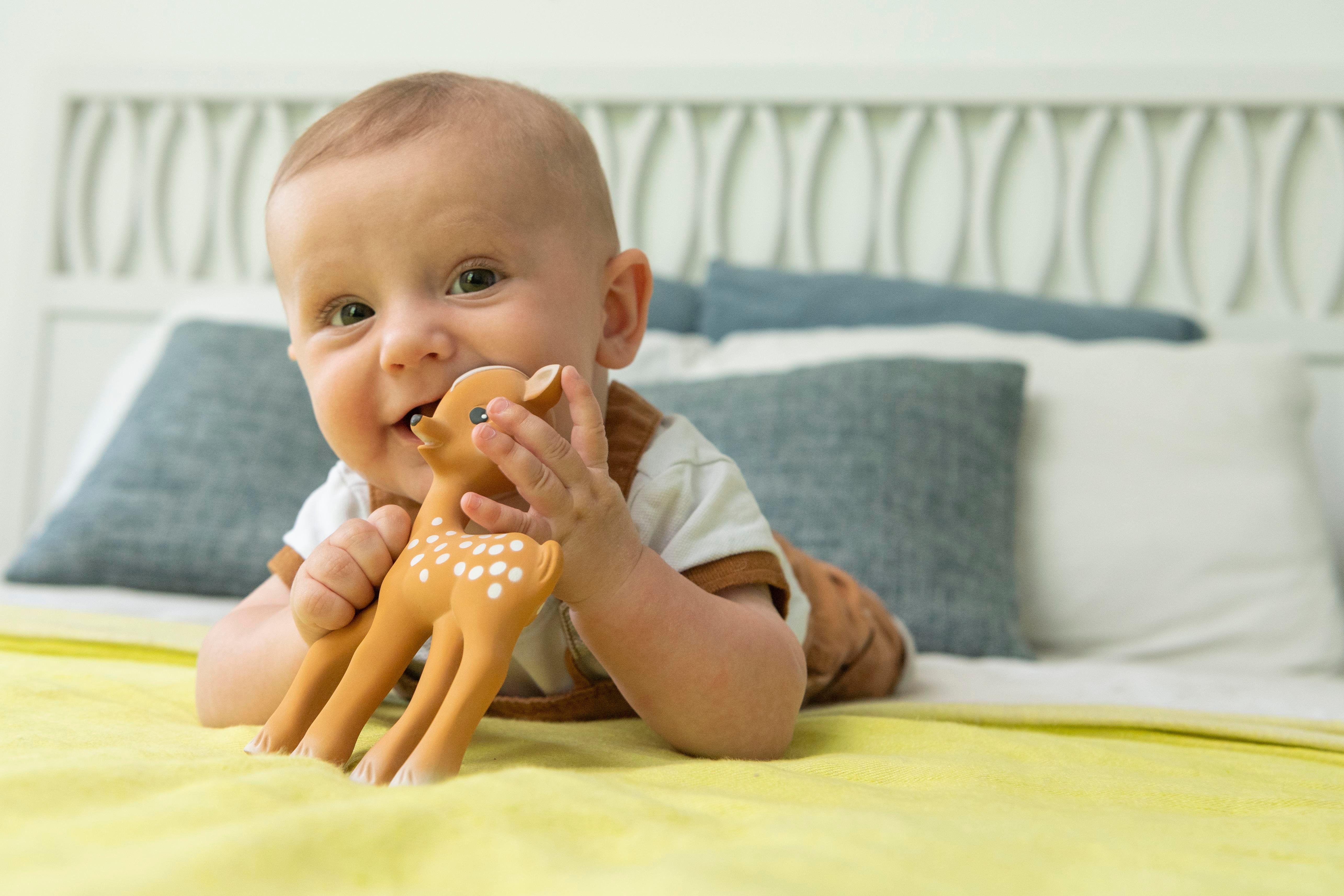 Sophie la Girafe, Fanfan Diş Kaşıyıcı Sophie La Girafe
