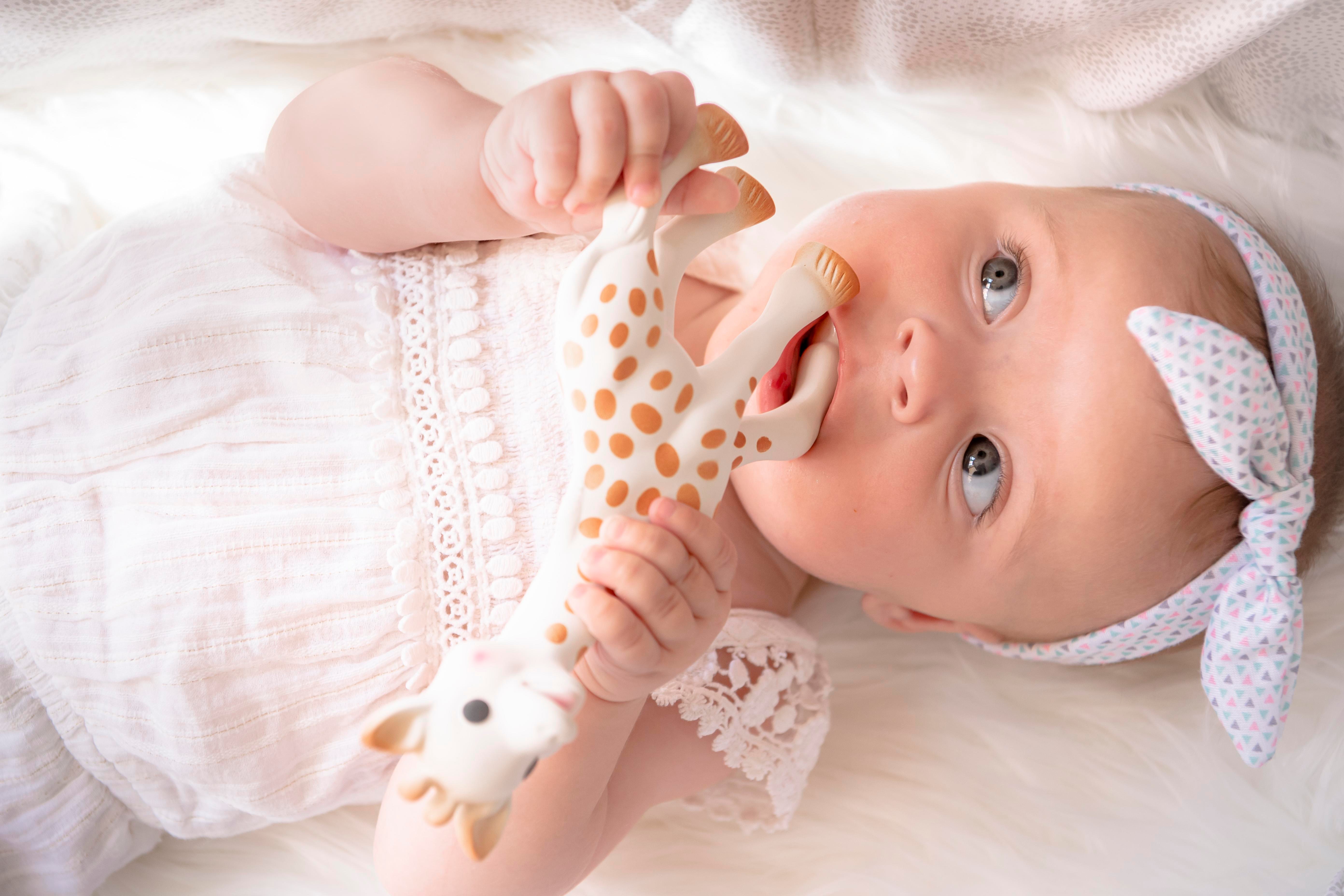 Sophie la Girafe, Zürafa Sophie diş kaşıyıcı Diş Kaşıyıcı Sophie La Girafe