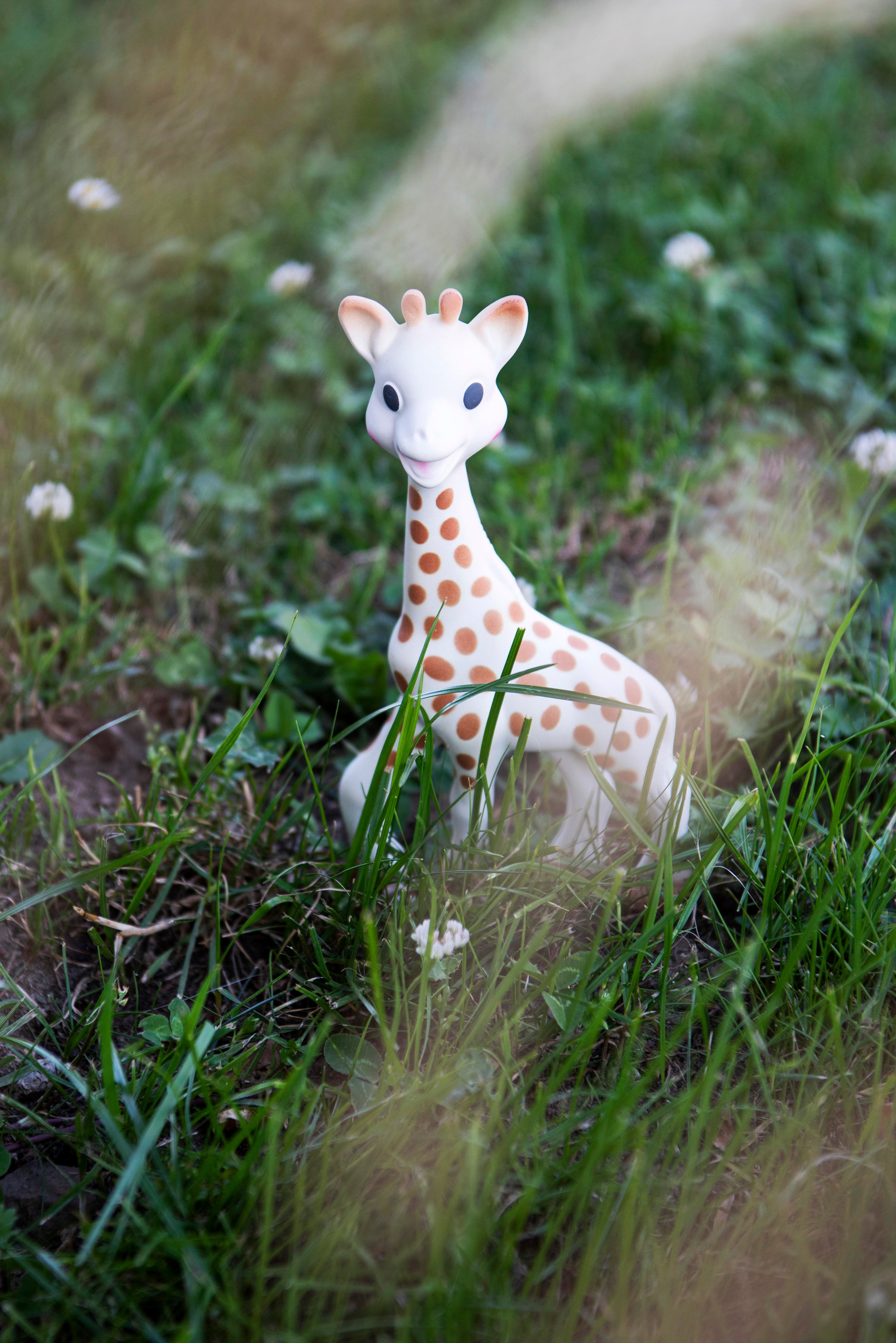 Sophie la Girafe, Zürafa Sophie diş kaşıyıcı Diş Kaşıyıcı Sophie La Girafe