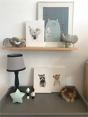 Suluboya Görünümlü Kanvas Baskı Tablo 'Rakun'