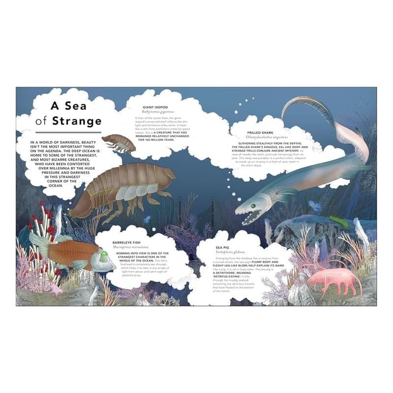 The Fantastical Safari