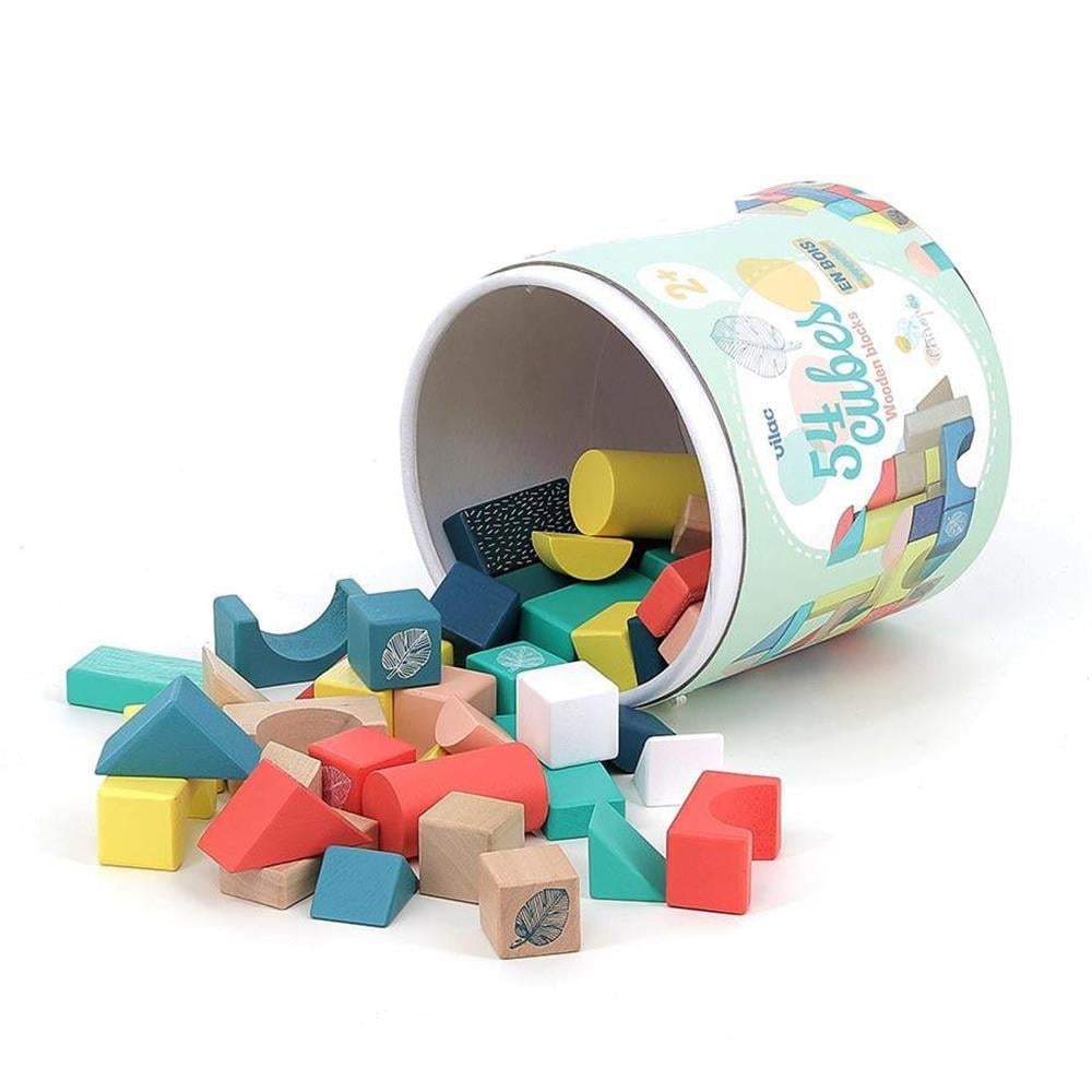 Vilac - Ahşap Bloklar - 54 Parça