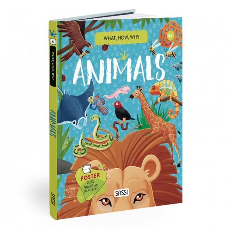 WHAT- HOW- WHY - ANIMALS
