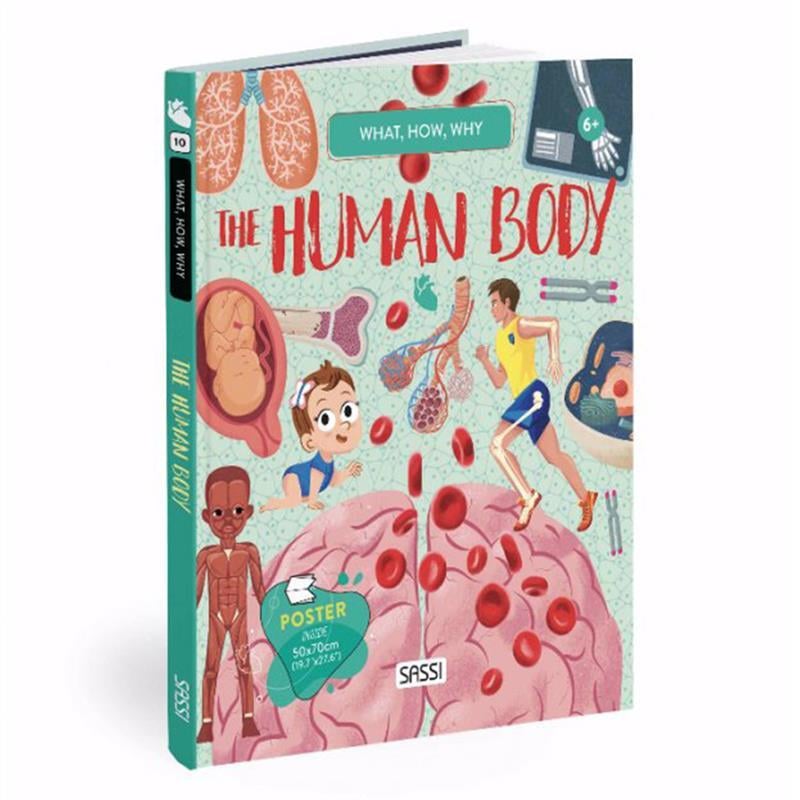 WHAT- HOW- WHY - HUMAN BODY